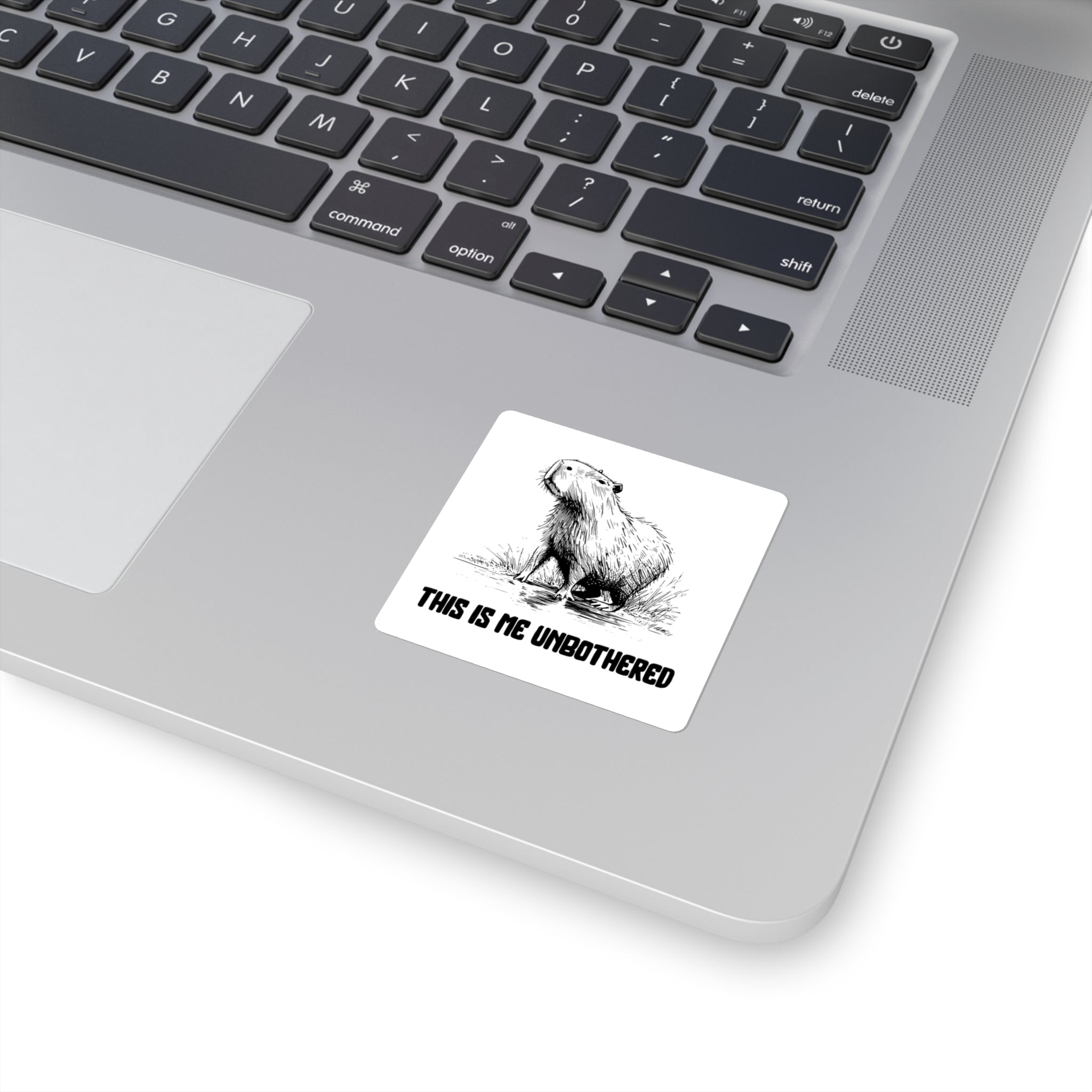This Is Me Unbothered Sticker – Funny Chill Capybara Vinyl Sticker for Water Bottles, Laptops & Journals