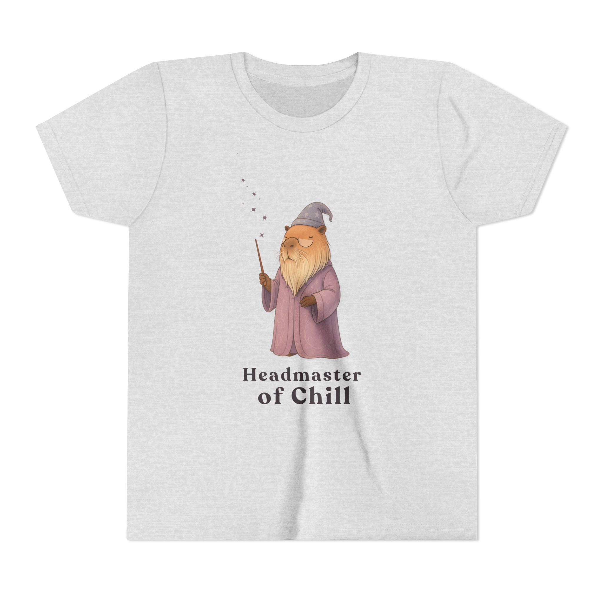 Master of Chill Kids Shirt | Funny Wizard Capybara Youth Graphic Tee