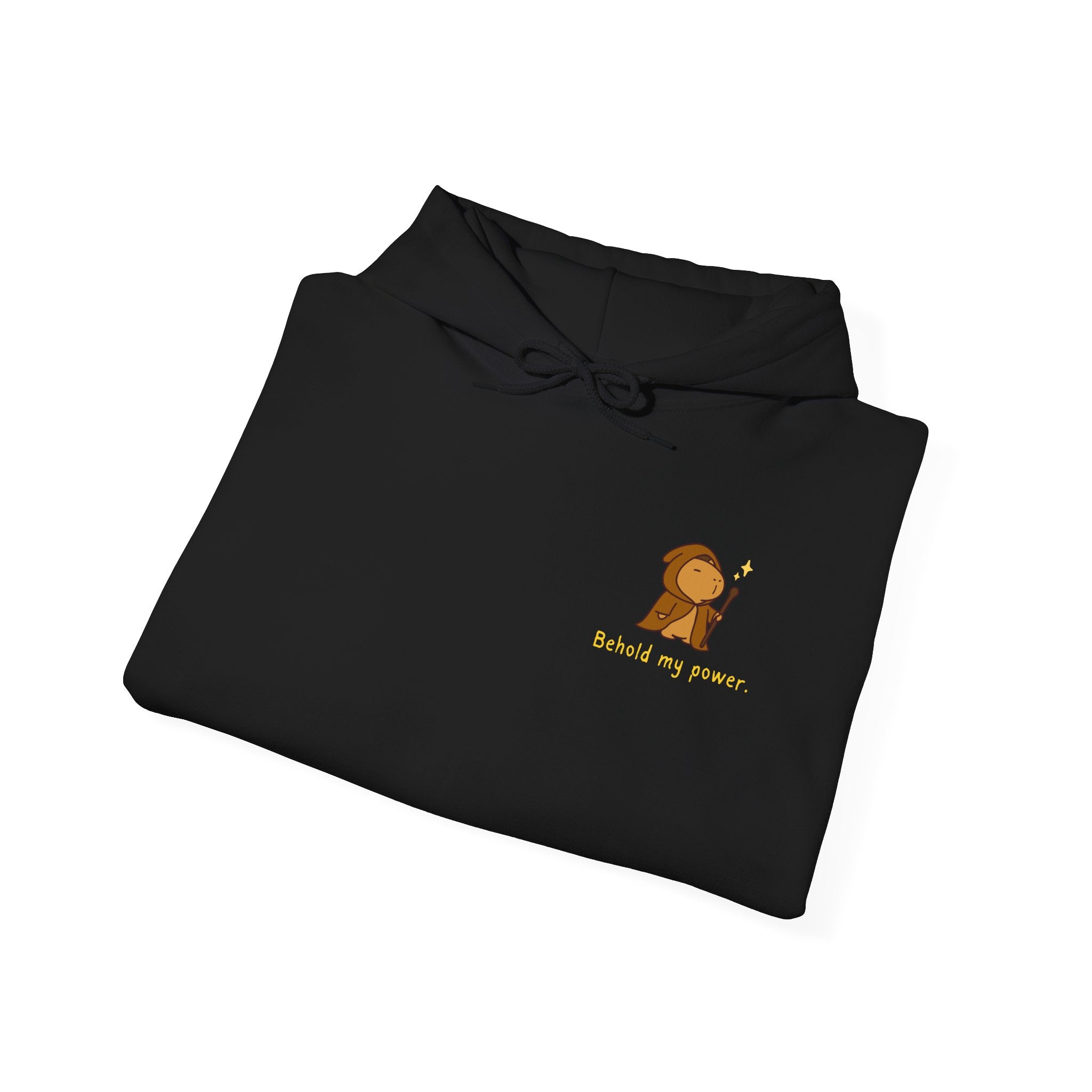 Behold My Power Hoodie – Funny Capybara Wizard Hoodie for Adults