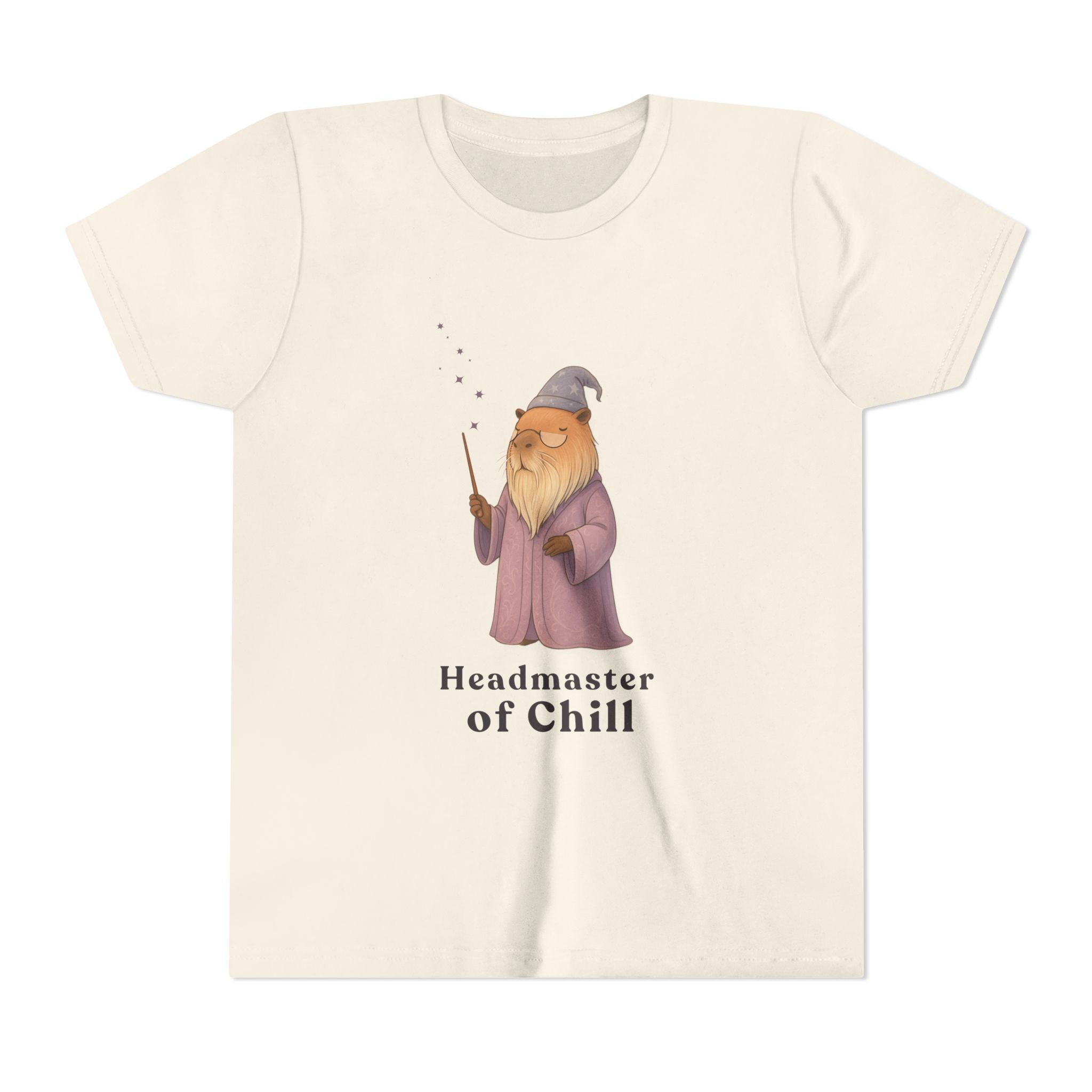 Master of Chill Kids Shirt | Funny Wizard Capybara Youth Graphic Tee