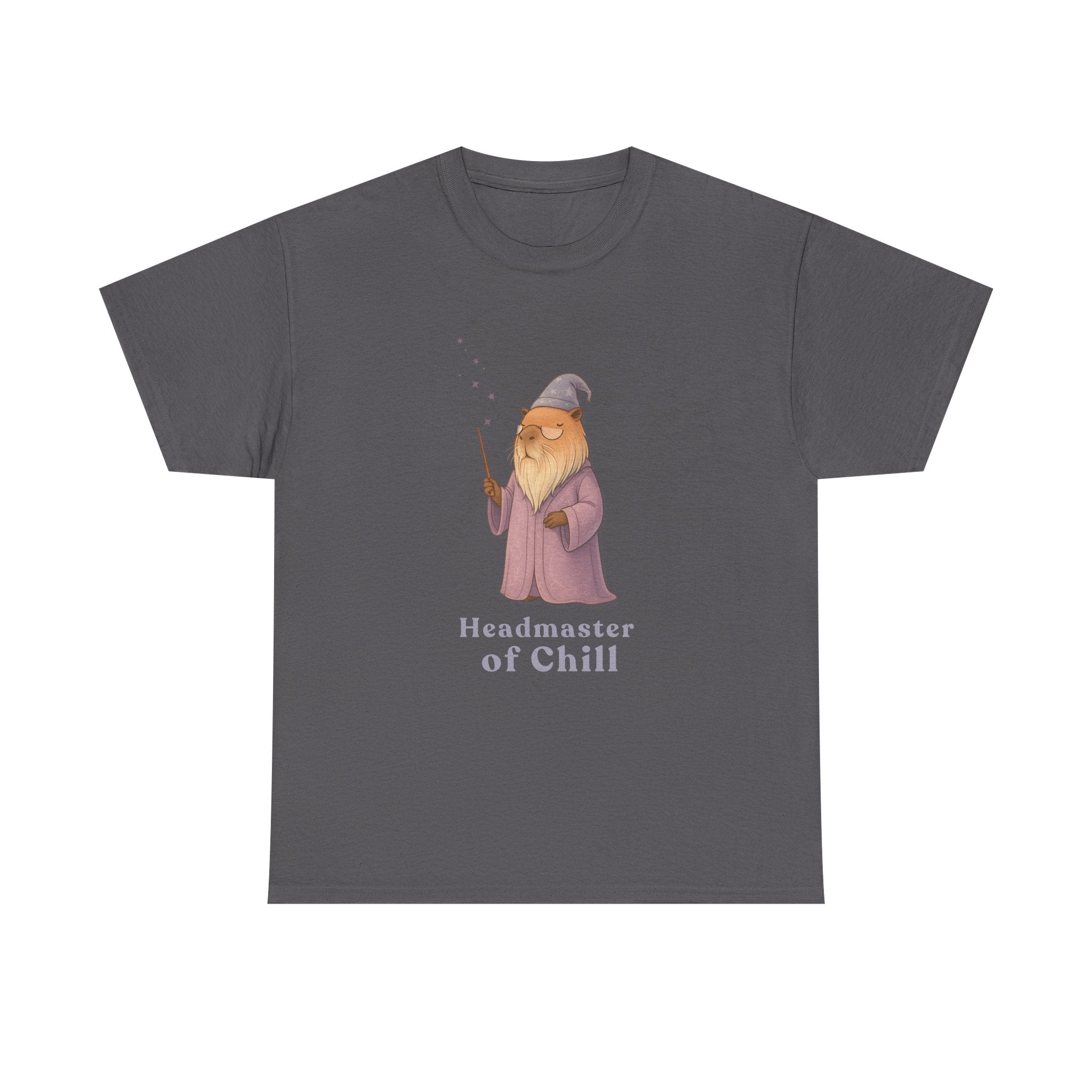 Headmaster of Chill T-Shirt | The Unbothered Wizard Collection Adult Tee
