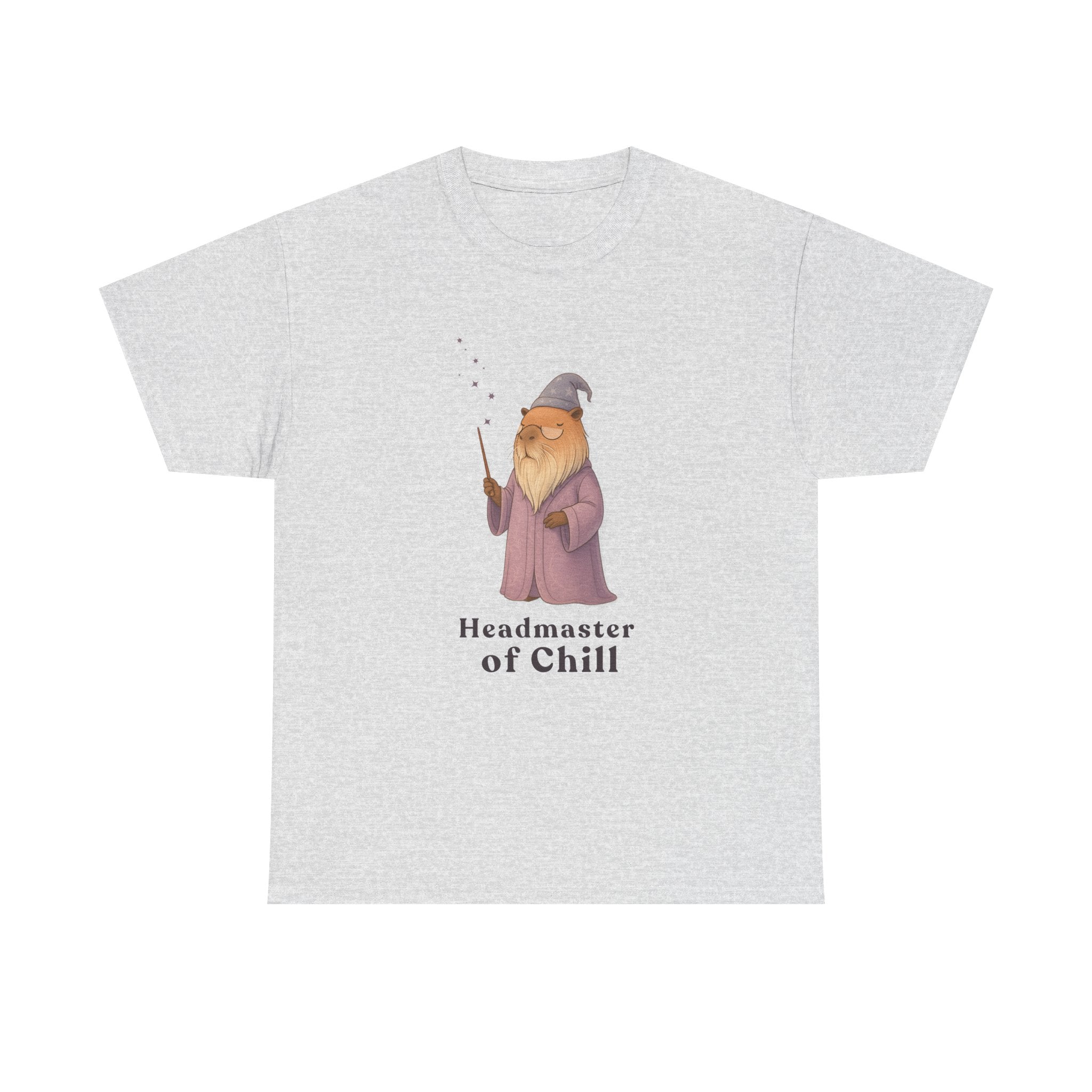 Headmaster of Chill T-Shirt | The Unbothered Wizard Collection Adult Tee