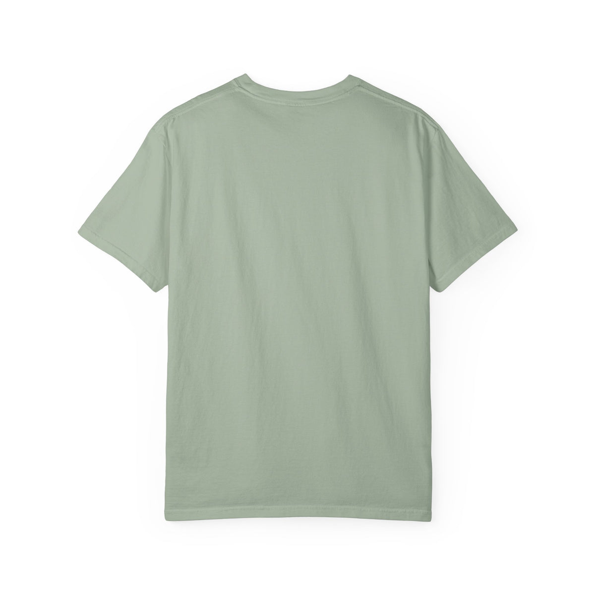 Copy of Autumn Leave This is Enough - Capybara Softstyle Adult T-Shirt