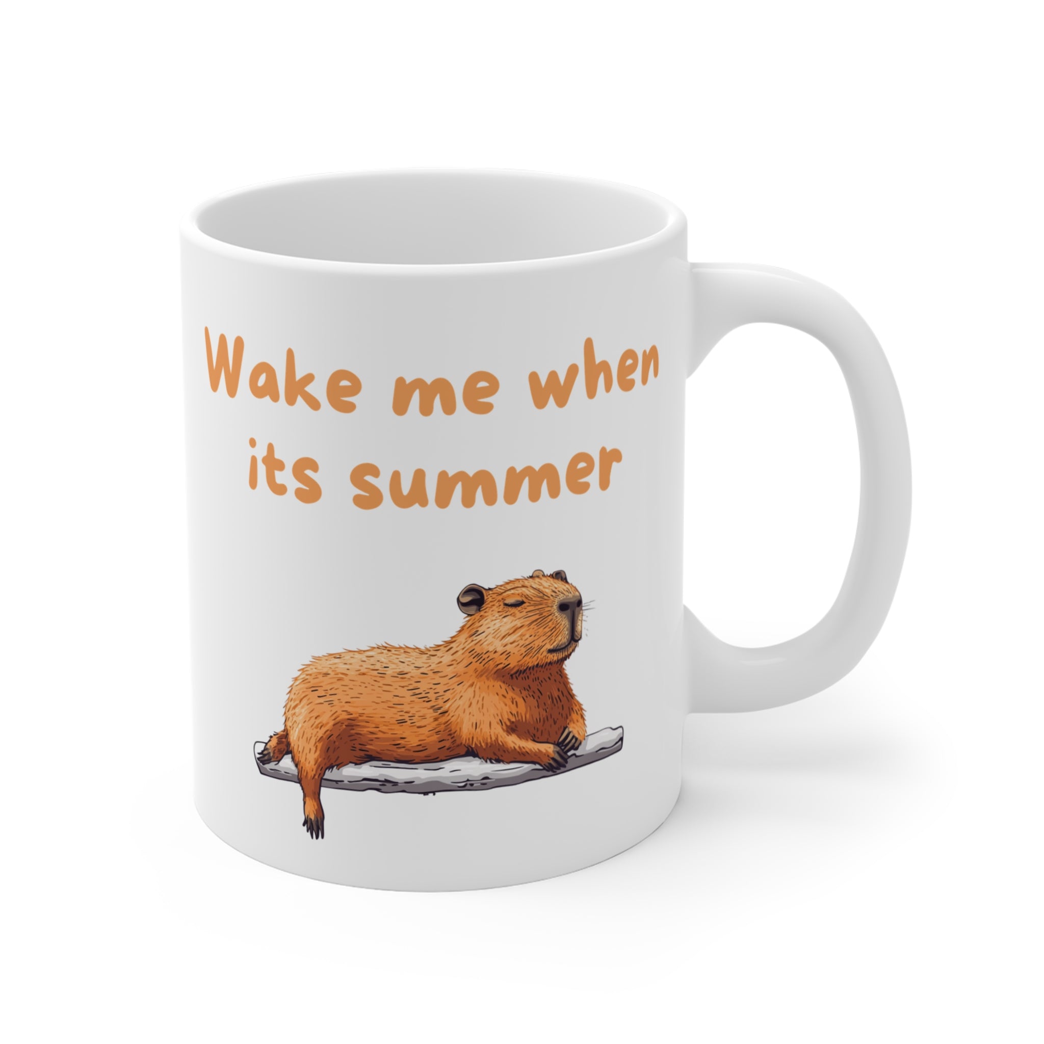 Wake Me When It's Summer - Fun Accent Coffee Mug