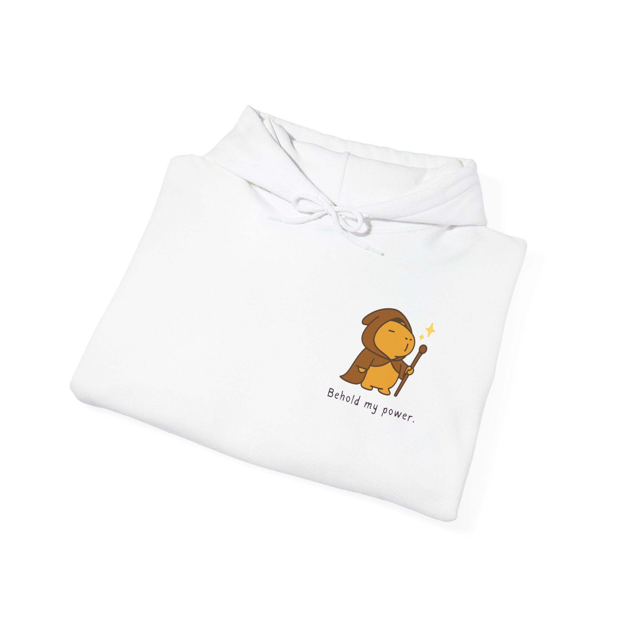 Behold My Power Hoodie — Minimal Wizard Capybara Hoodie for Adults | Fantasy Cozy Sweatshirt
