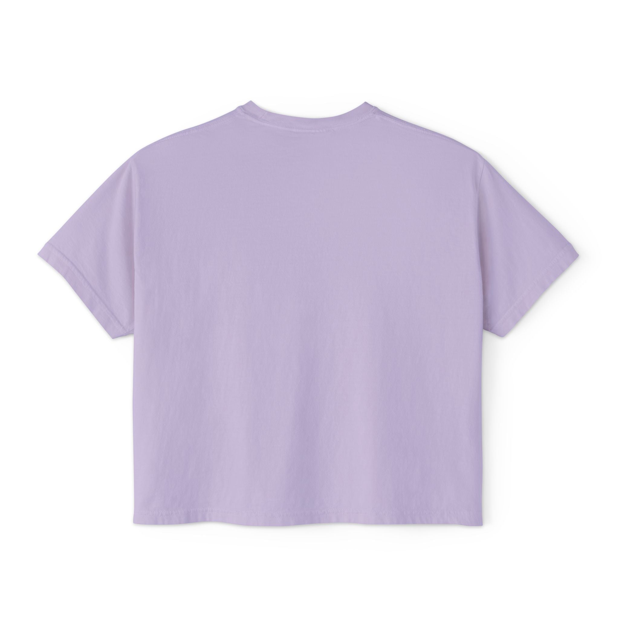 Funny Womens Boxy Tee - Capybara Causing Problems Politely