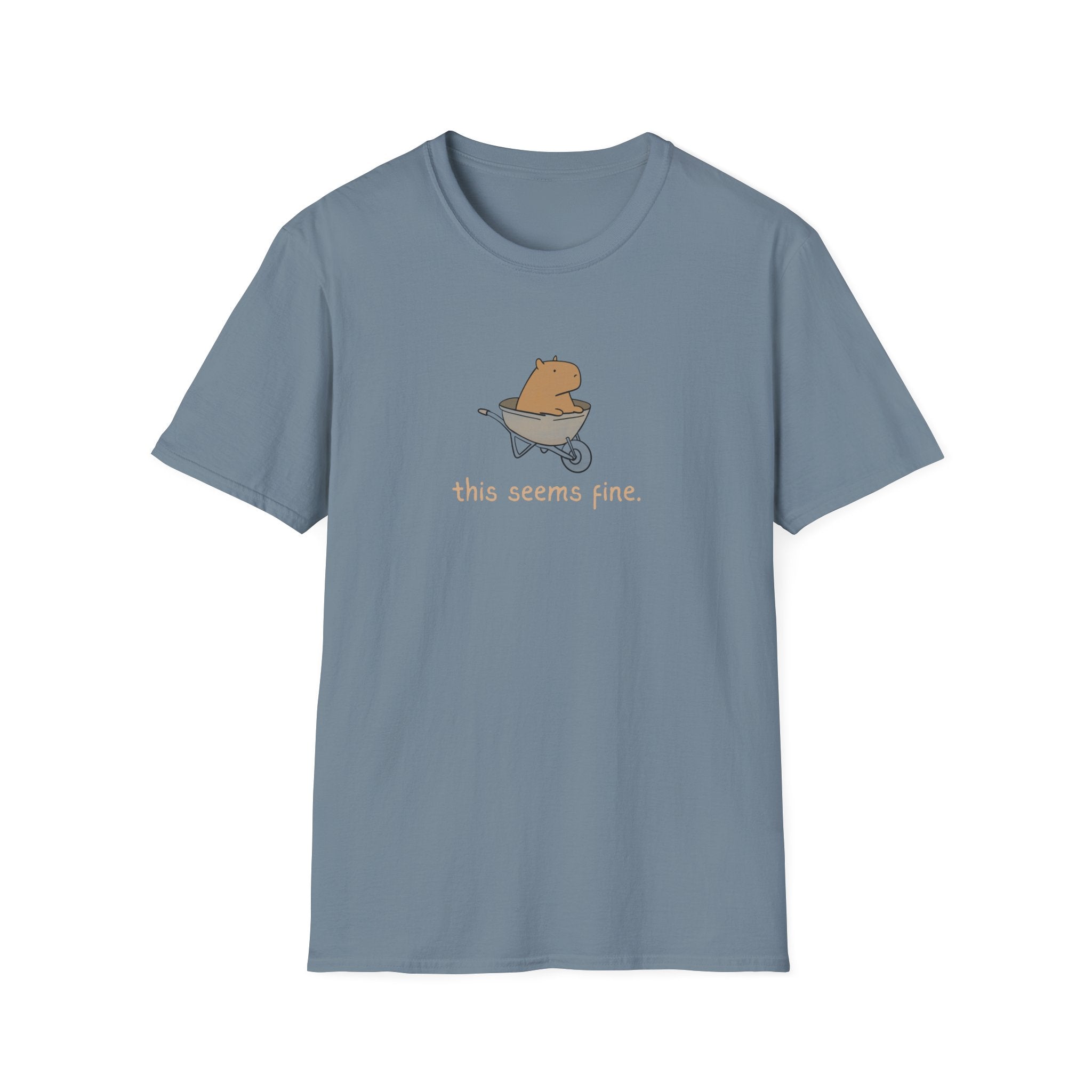 Blue tshirt with a capybara in a wheelbarrow and the humorous text "this seems fine."