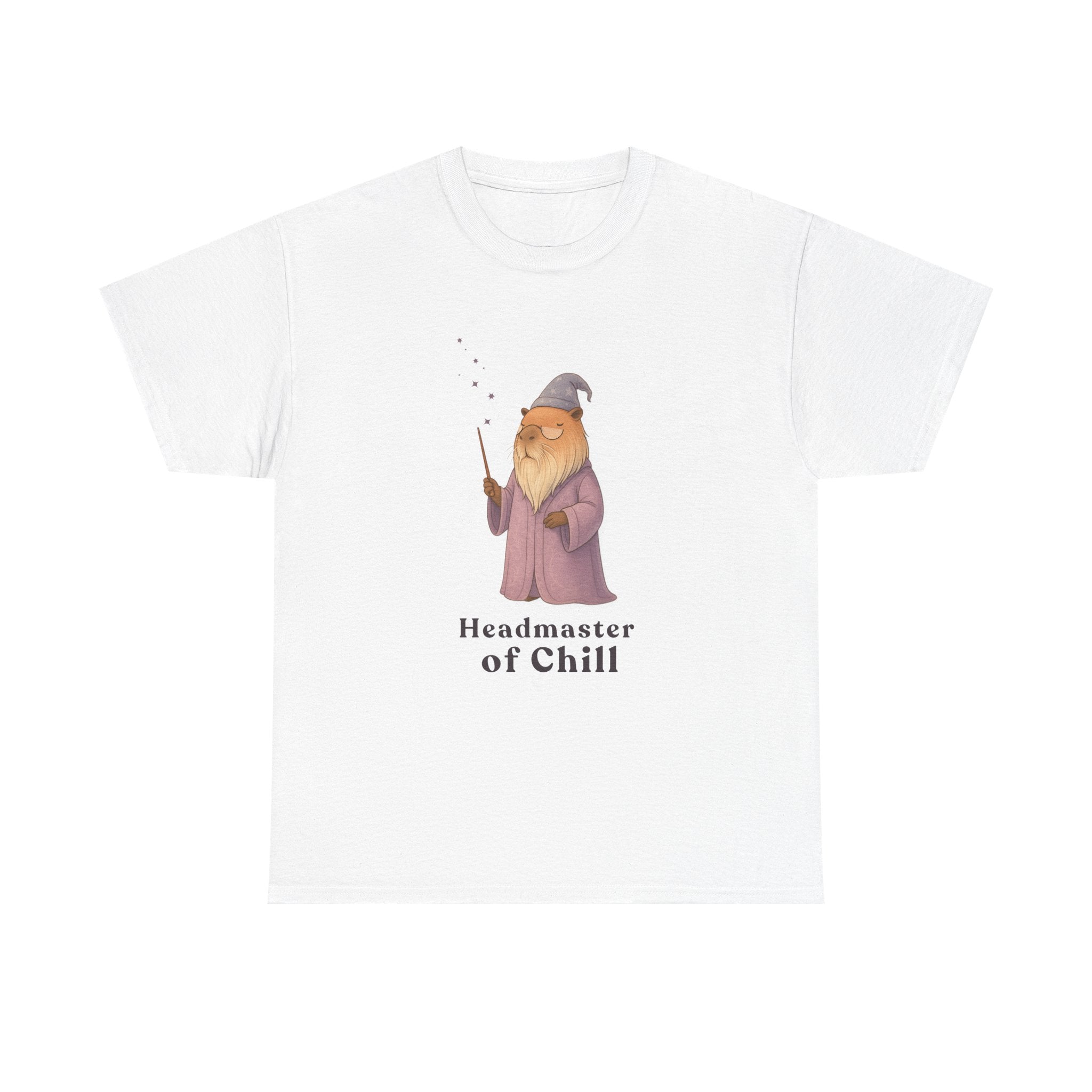 Headmaster of Chill T-Shirt | The Unbothered Wizard Collection Adult Tee