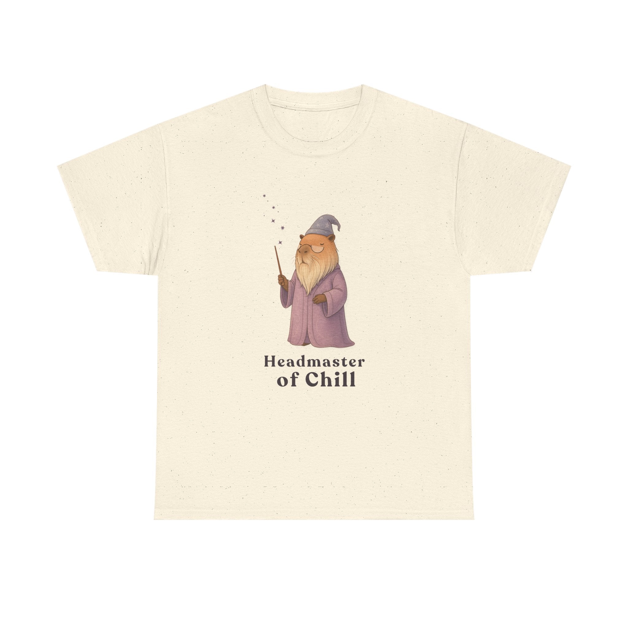 Headmaster of Chill T-Shirt | The Unbothered Wizard Collection Adult Tee