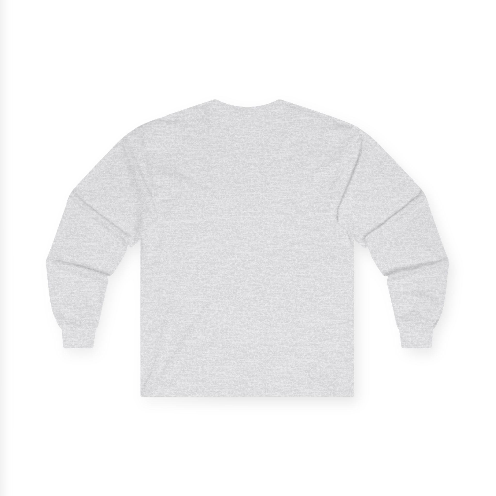 Funny Minimalist Long Sleeve Tee - Capybara Causing Problems Politely