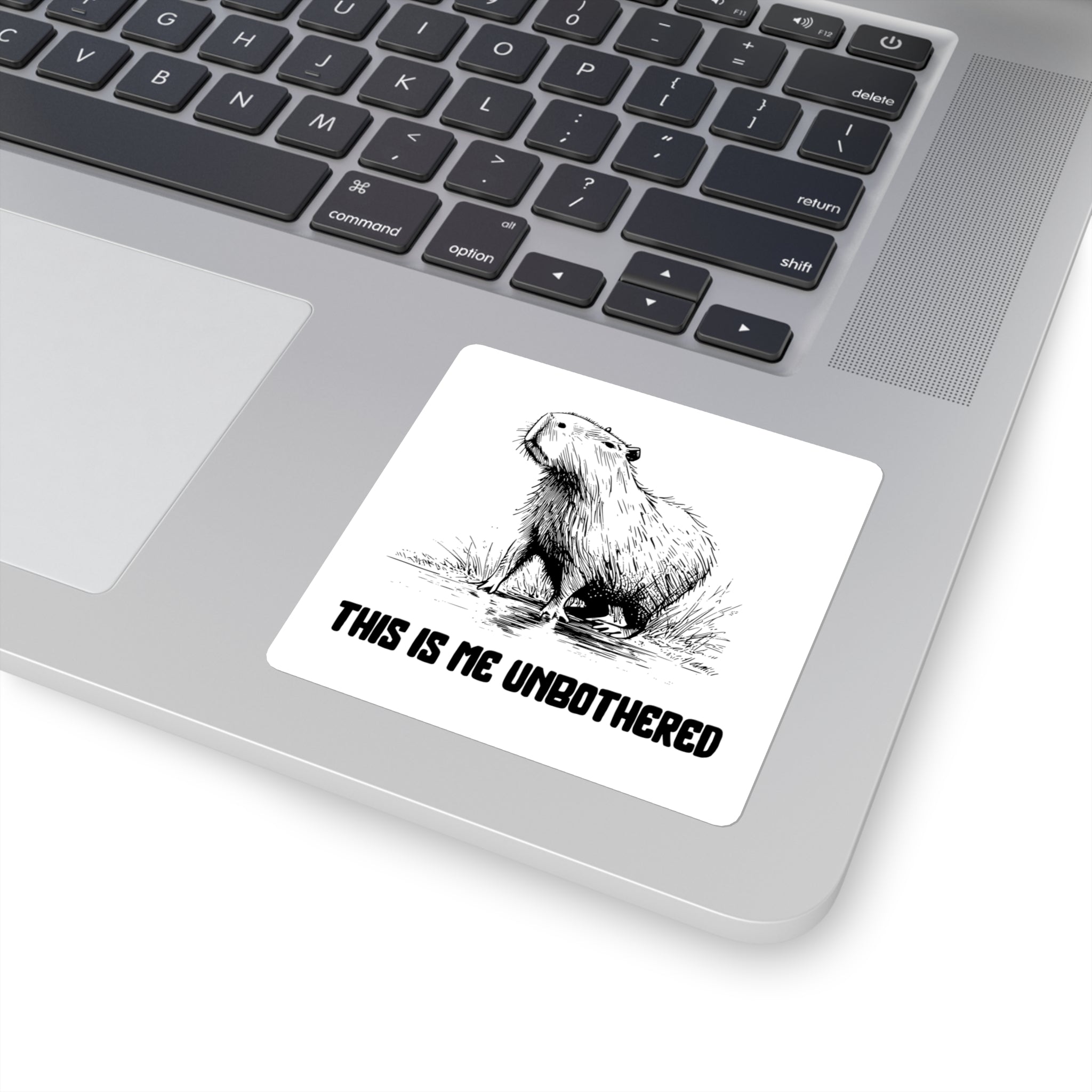 This Is Me Unbothered Sticker – Funny Chill Capybara Vinyl Sticker for Water Bottles, Laptops & Journals