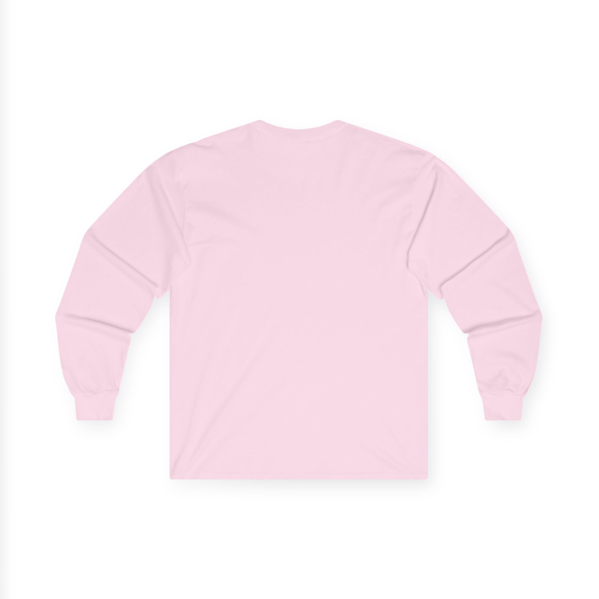Funny Minimalist Long Sleeve Tee - Capybara Causing Problems Politely