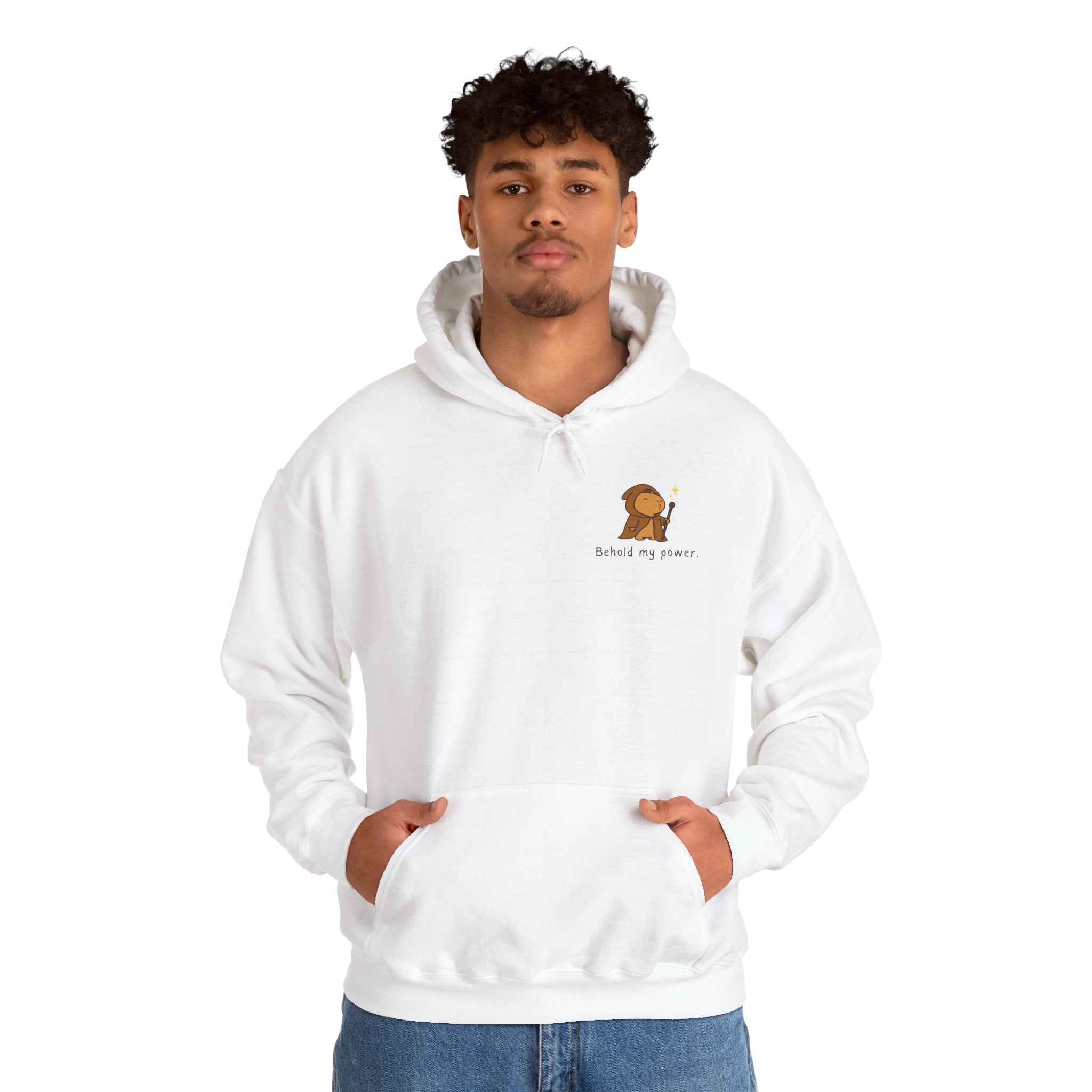Behold My Power Hoodie – Funny Capybara Wizard Hoodie for Adults