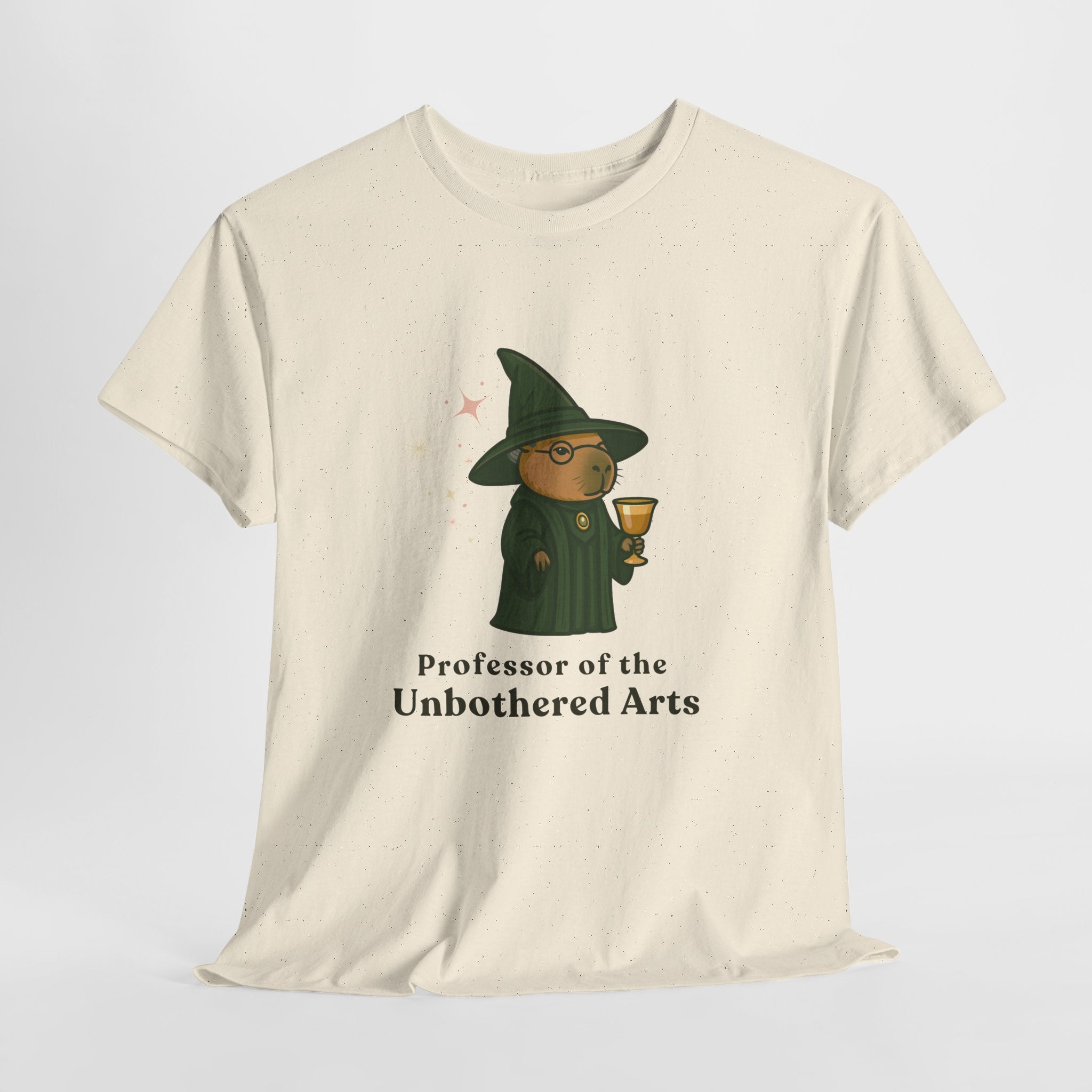 Professor of the Unbothered Arts T-Shirt | The Unbothered Wizard Collection Adult Tee