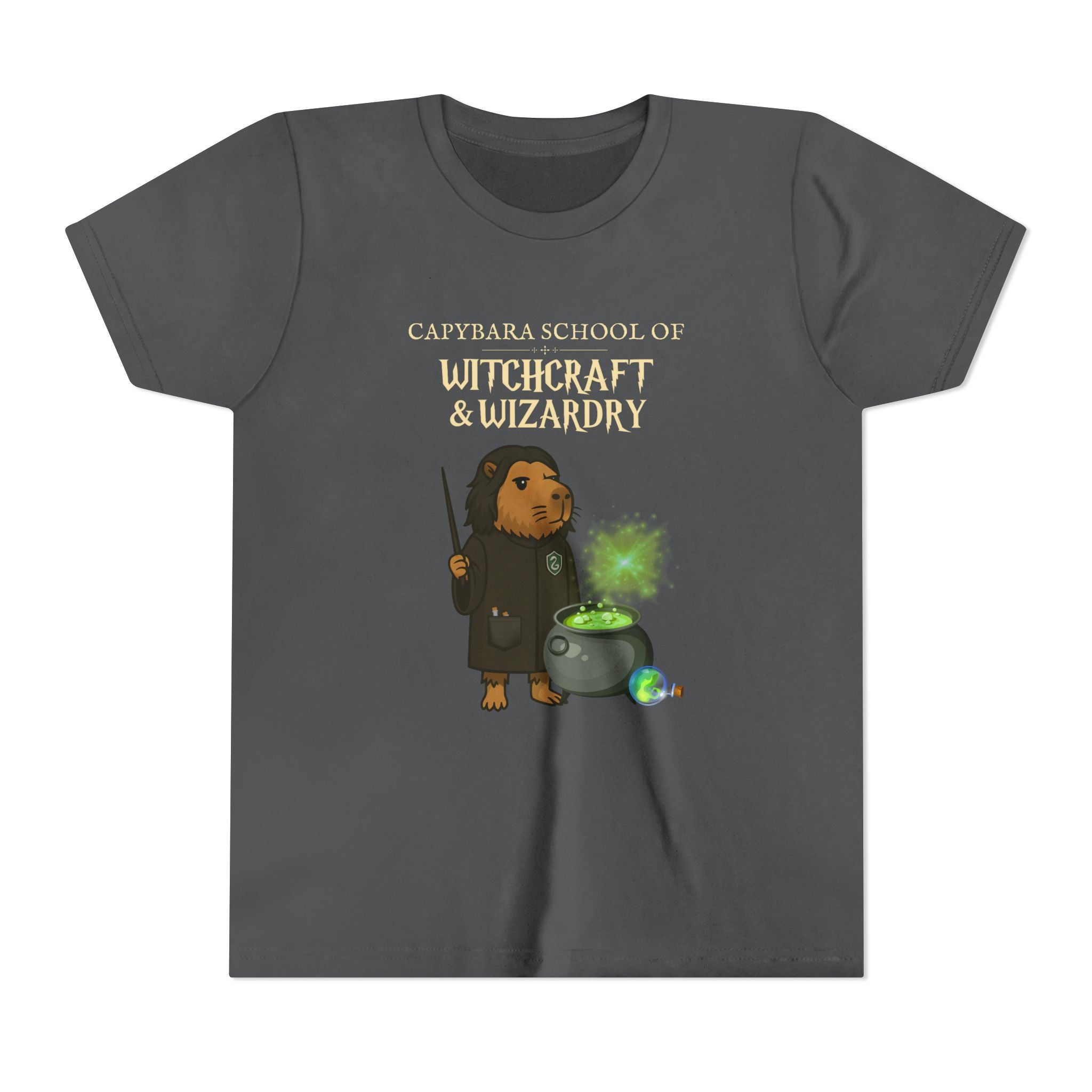 Whimsical Youth Tee - Capybara School of Witchcraft & Wizardry | Potions Master Gift | Youth Severus Napebara Unisex Tee