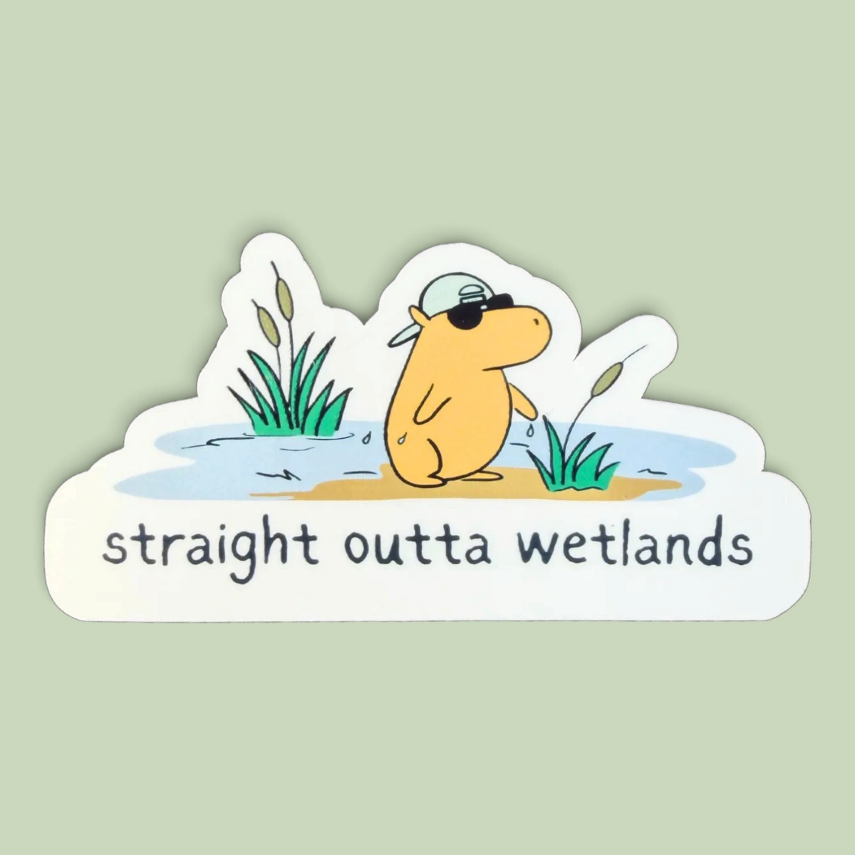 Straight Outta Wetlands – Die Cut Capybara Sticker