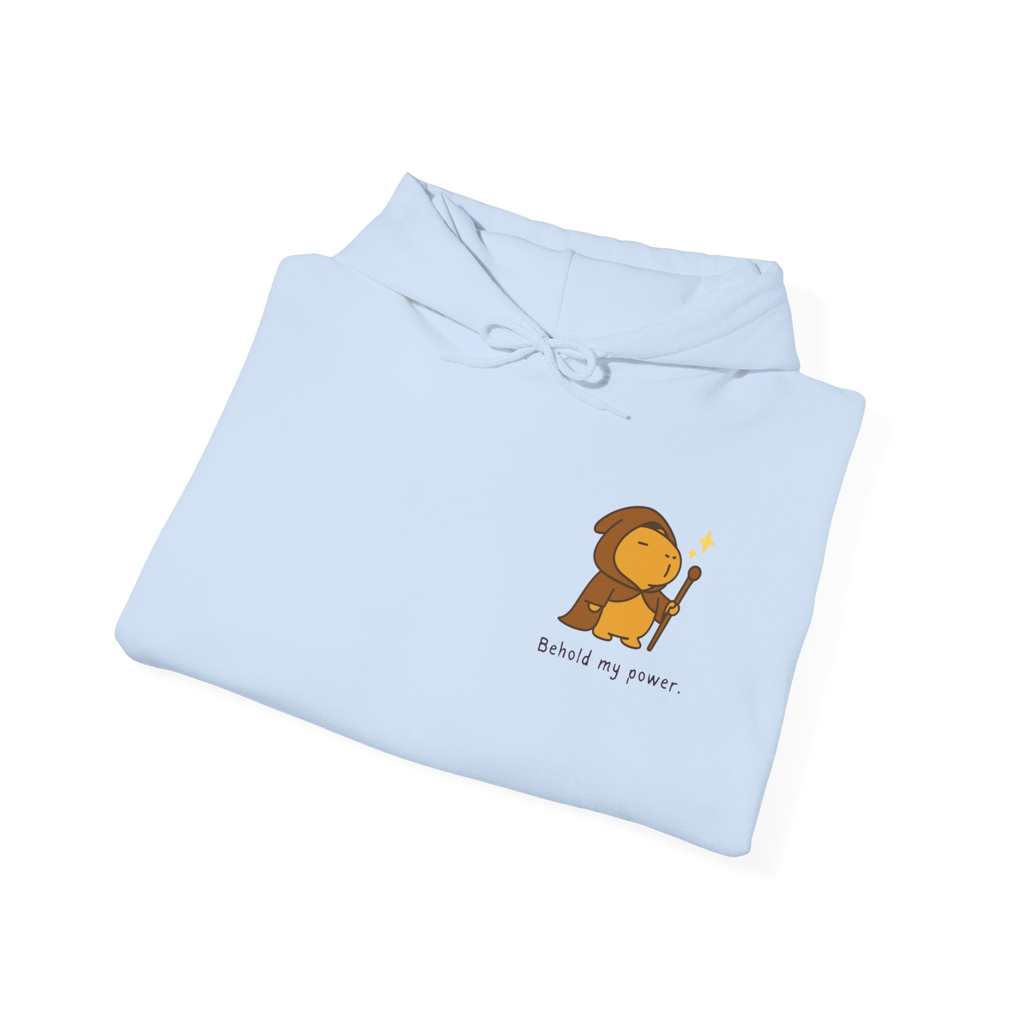 Behold My Power Hoodie — Minimal Wizard Capybara Hoodie for Adults | Fantasy Cozy Sweatshirt