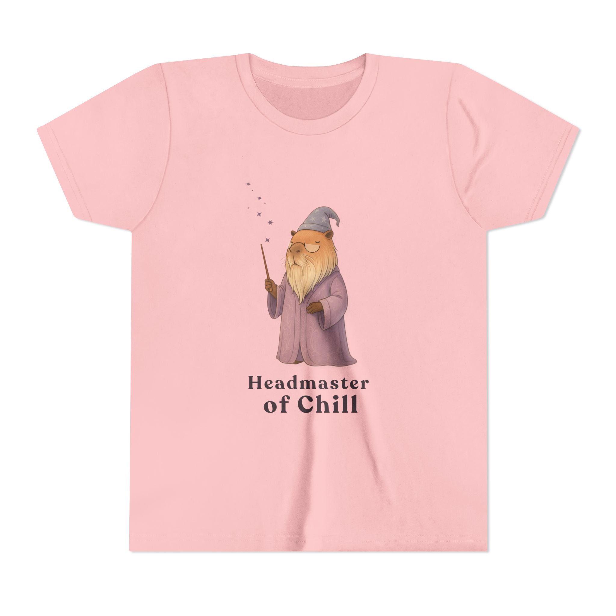 Master of Chill Kids Shirt | Funny Wizard Capybara Youth Graphic Tee