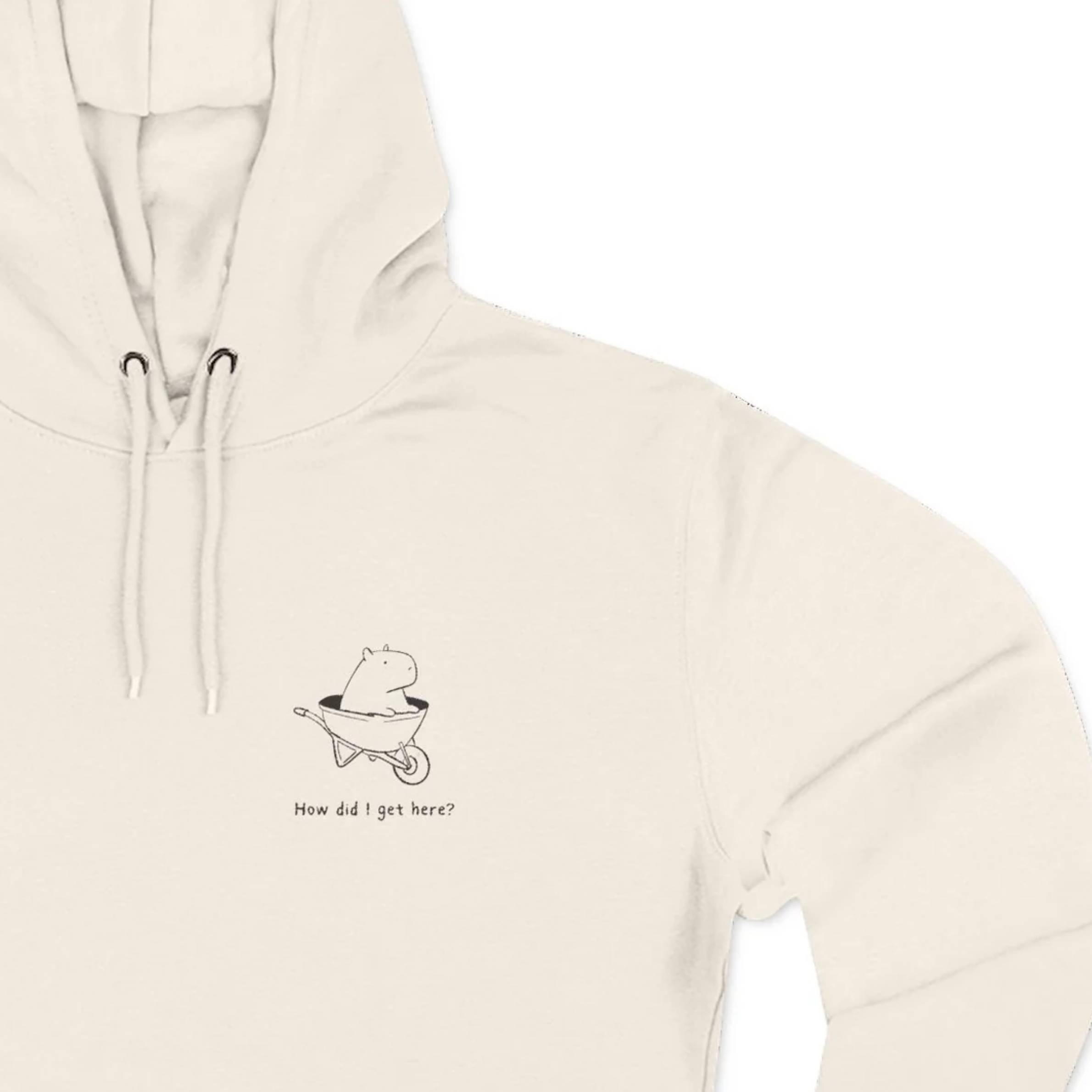 “How Did I Get Here?” Embroidered Capybara Premium Hoodie