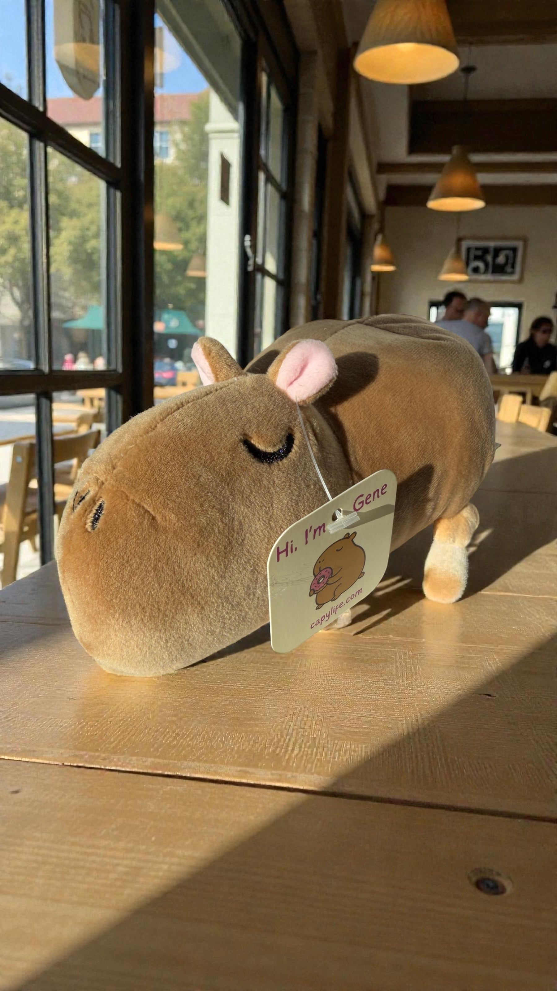 Capybara design - view 3