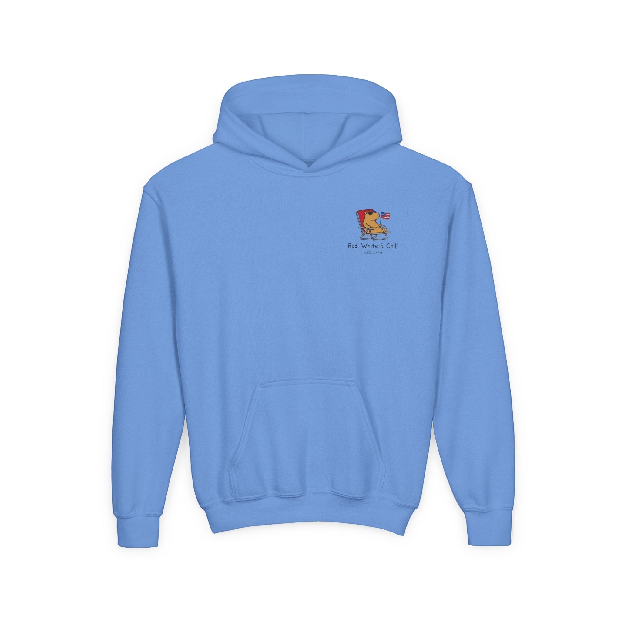Capy Life light blue youth hoodie featuring a small patriotic capybara graphic with an American flag and text.