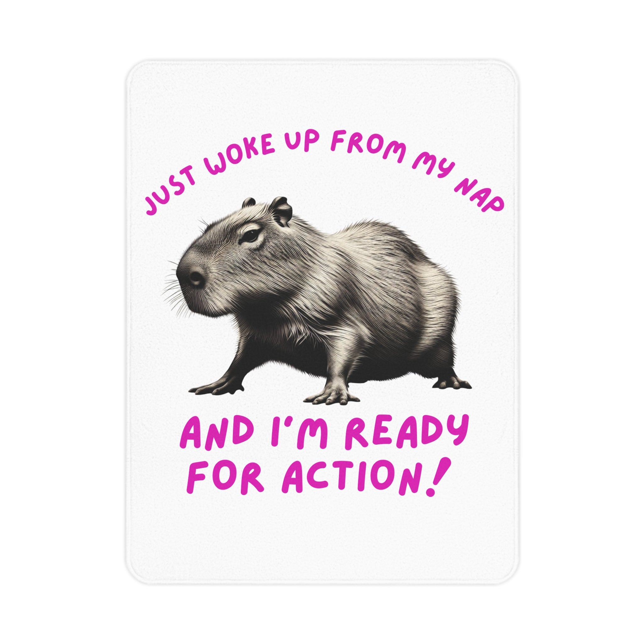 Funny Toddler Blanket, Cute Animal Blanket, Nap Time Gift, Kids Room Decor, Capybara Blanket, Baby Shower Gift