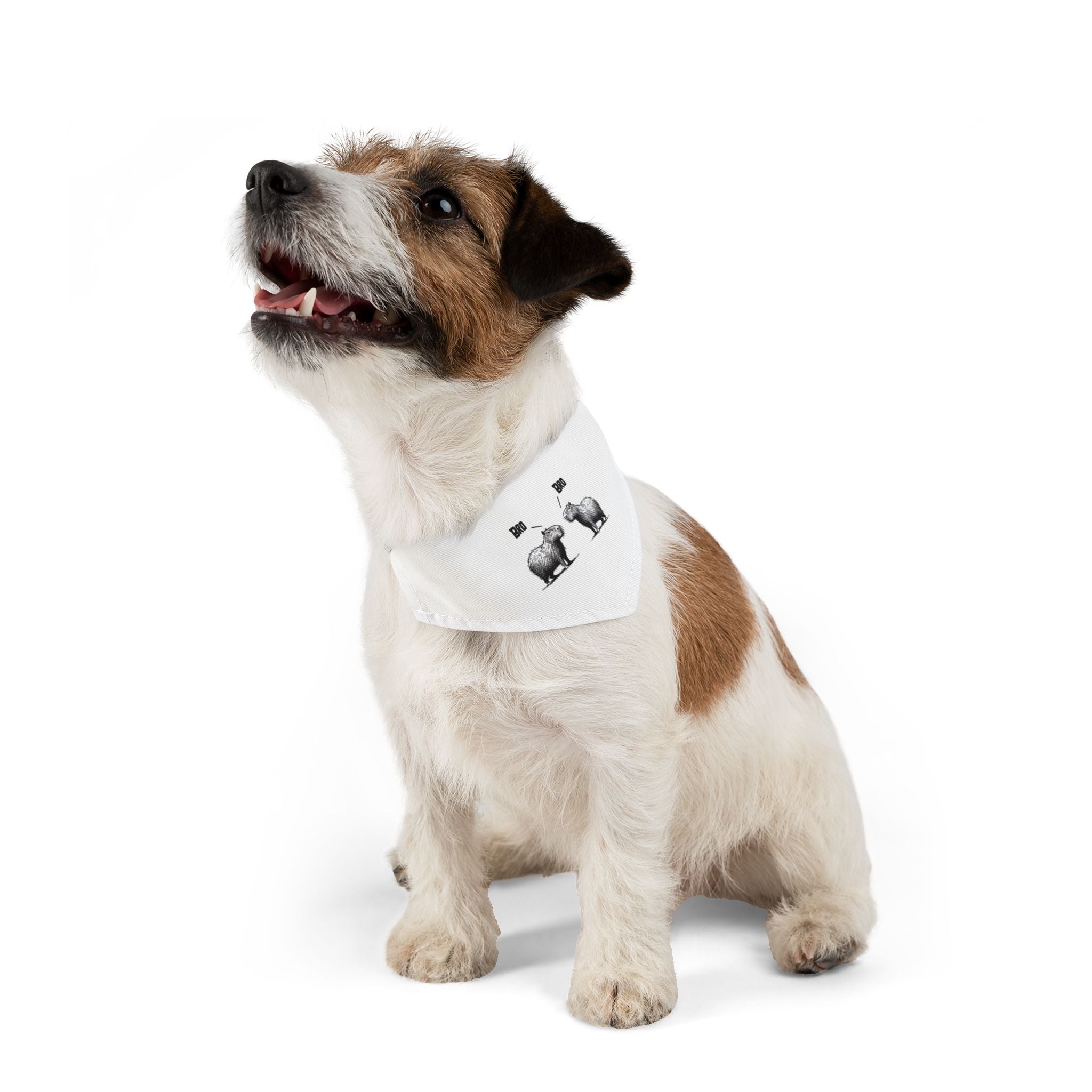 Funny Pet Bandana Collar for Chill Dogs - Bro Bro Capybara Design