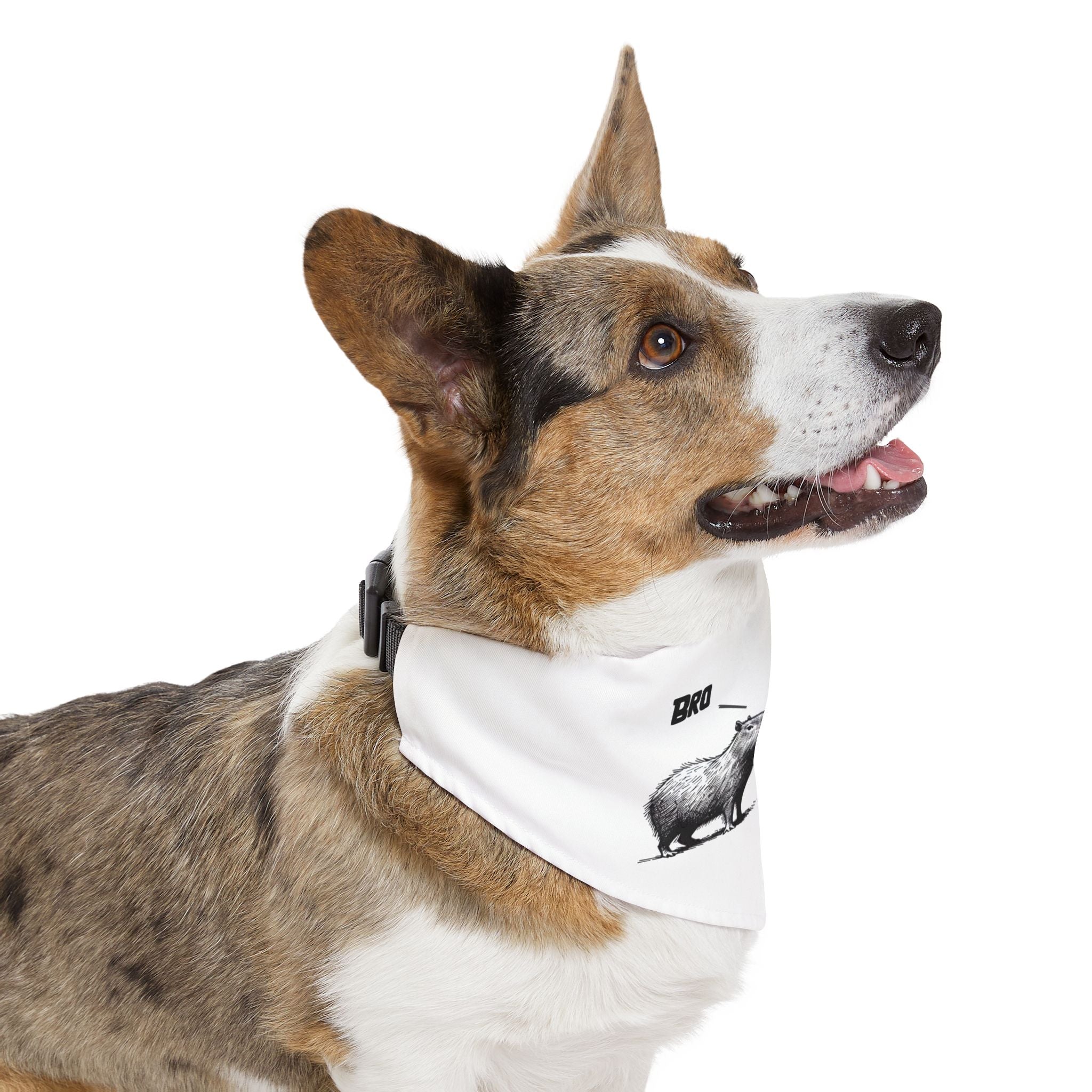 Funny Pet Bandana Collar for Chill Dogs - Bro Bro Capybara Design