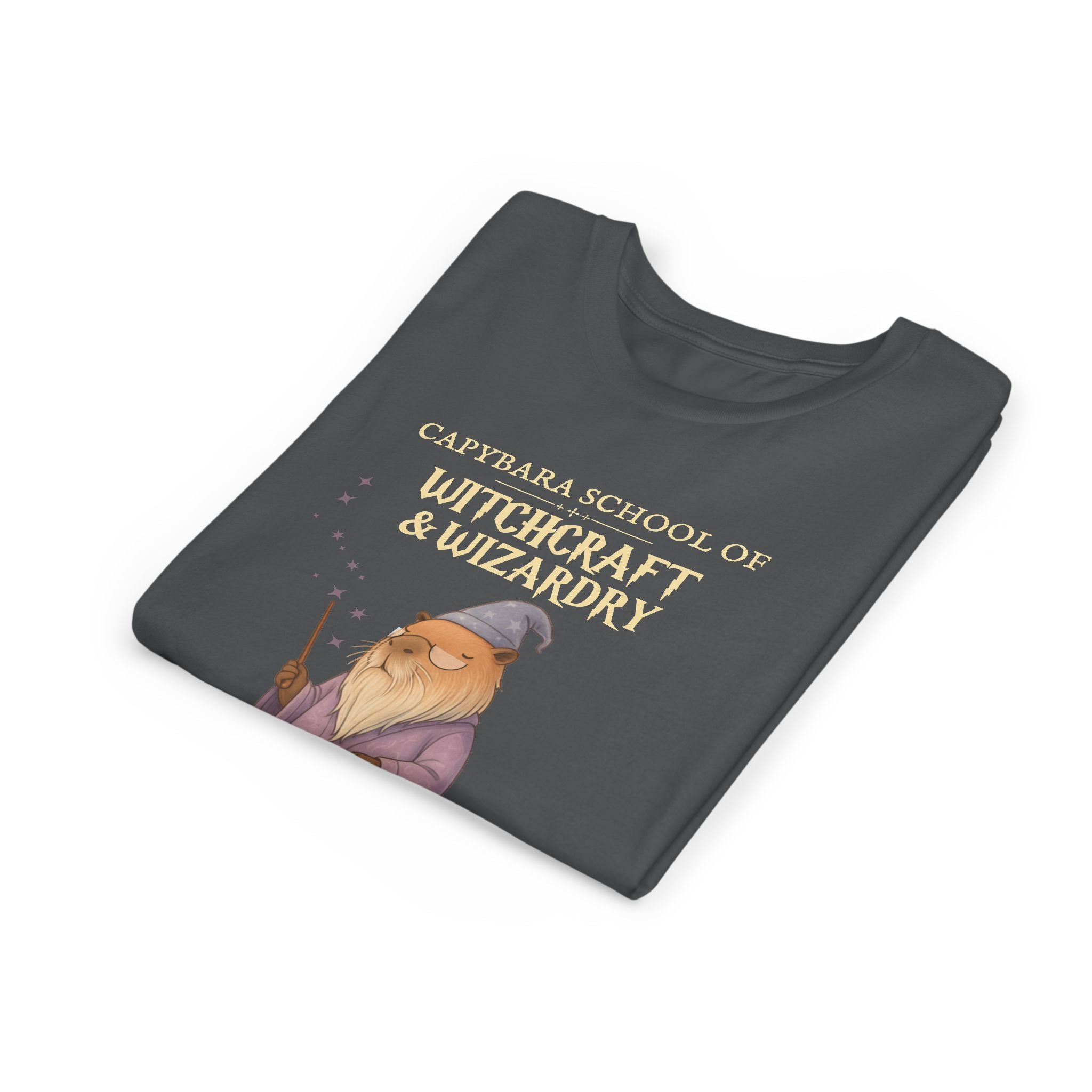 Whimsical Youth Tee - Capybara School of Witchcraft & Wizardry, Wizard School Gift |  Youth Professor Chillindore Unisex Tee