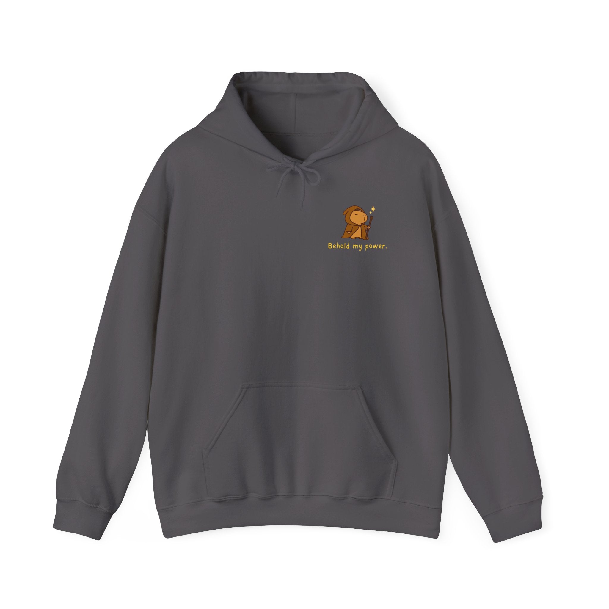 Behold My Power Hoodie – Funny Capybara Wizard Hoodie for Adults