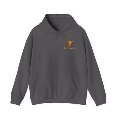 Behold My Power Hoodie – Funny Capybara Wizard Hoodie for Adults