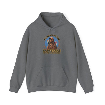 Star Wars Parody Hoodie – These Aren’t the Capybaras You’re Looking For – Obi-Wan Capybara – Funny Nerd Gift – Youth & Adult Sizes – Tatooine Suns Sci-Fi Sweatshirt