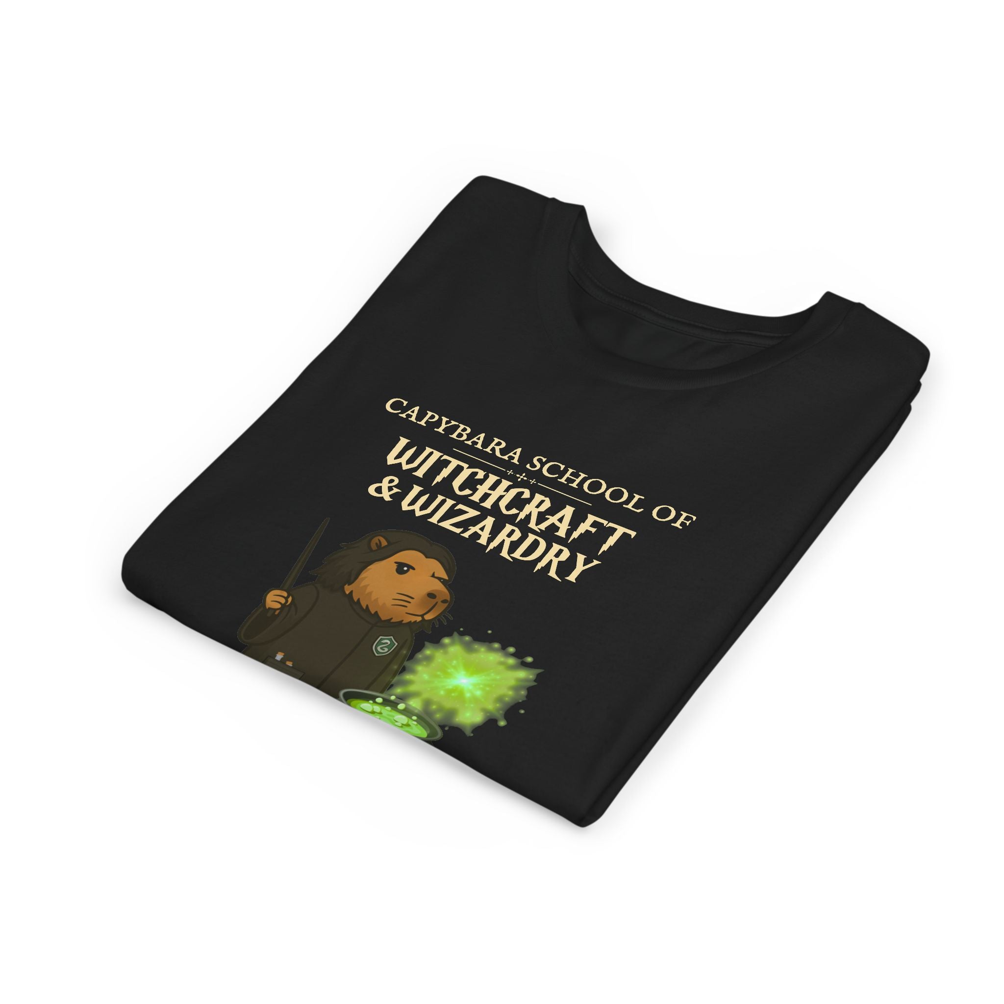 Whimsical Youth Tee - Capybara School of Witchcraft & Wizardry | Potions Master Gift |  Youth Severus Napebara Unisex Tee