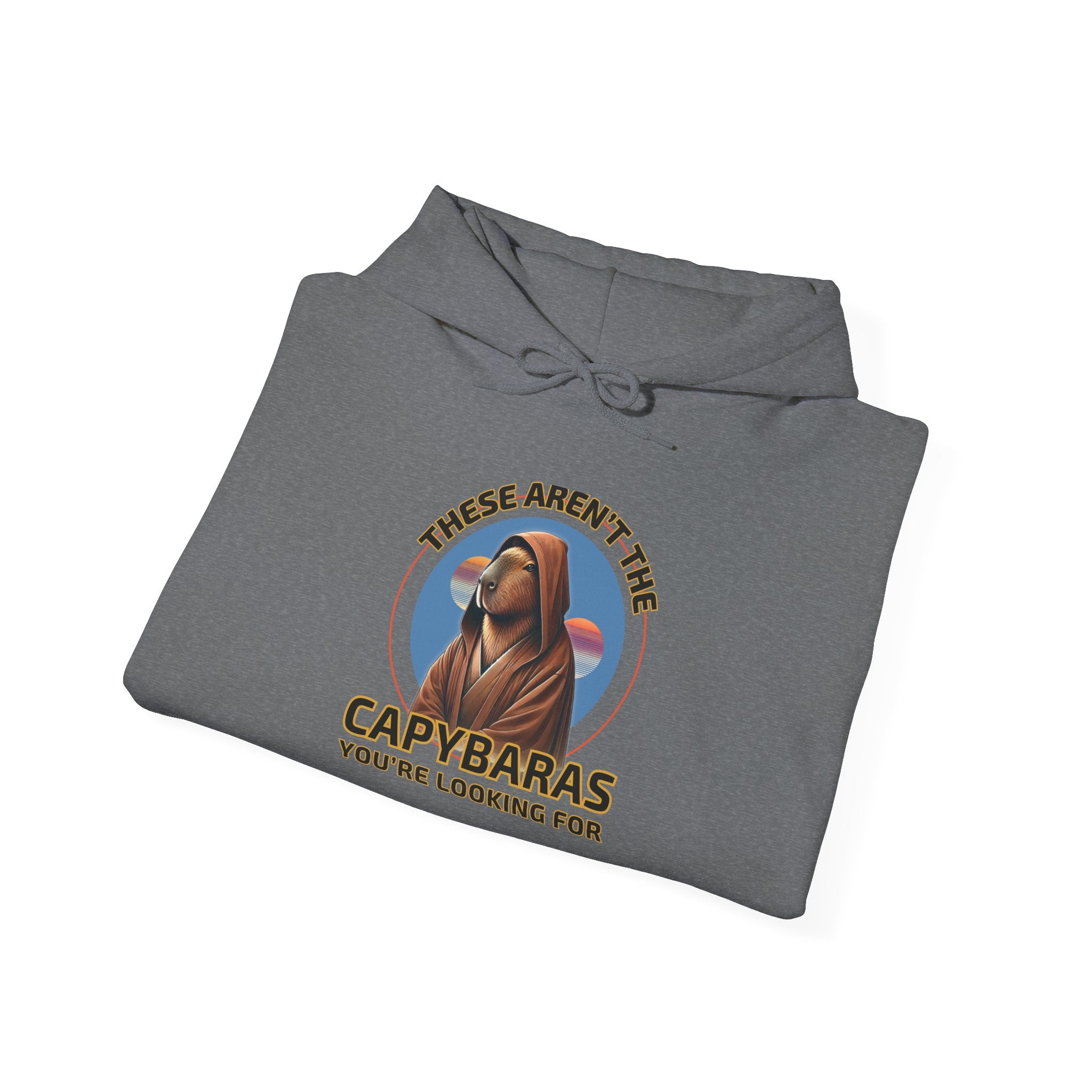 Star Wars Parody Hoodie – These Aren’t the Capybaras You’re Looking For – Obi-Wan Capybara – Funny Nerd Gift – Youth & Adult Sizes – Tatooine Suns Sci-Fi Sweatshirt