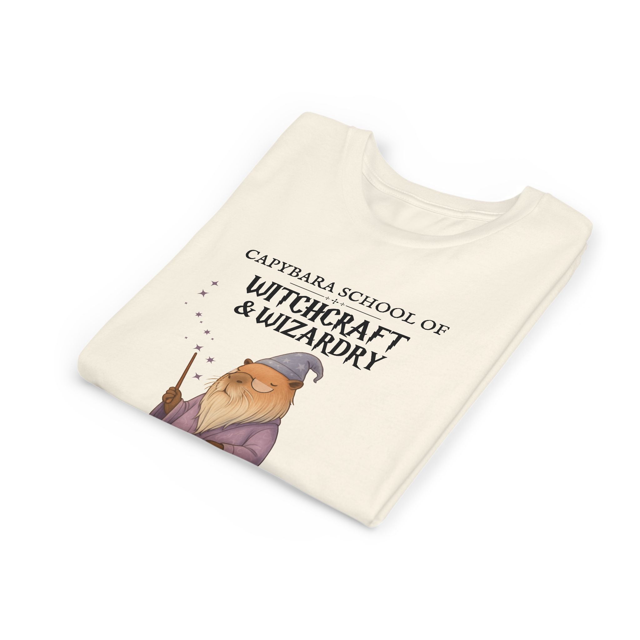 Whimsical Youth Tee - Capybara School of Witchcraft & Wizardry, Wizard School Gift |  Youth Professor Chillindore Unisex Tee