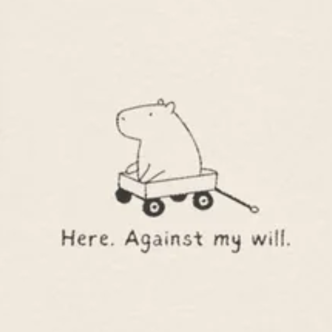 "Here Against My Will" - Embroidered Funny Capybara Premium Hoodie
