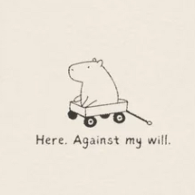 "Here Against My Will" - Embroidered Funny Capybara Premium Hoodie