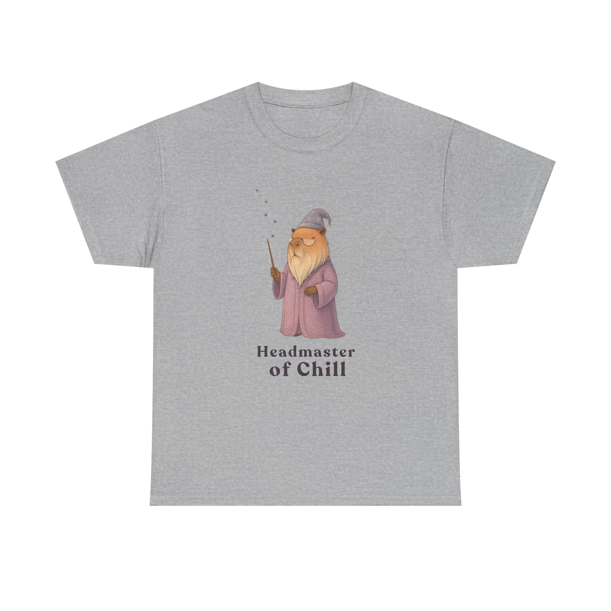 Headmaster of Chill T-Shirt | The Unbothered Wizard Collection Adult Tee
