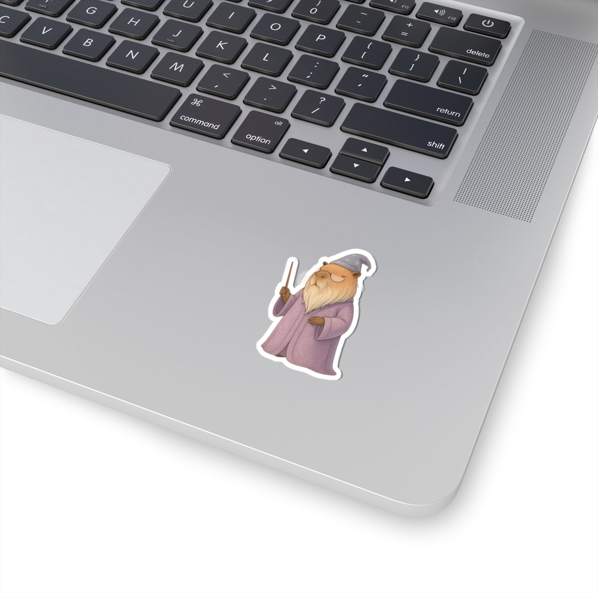 Whimsical Wizard Professor Chillindore Kiss-Cut Vinyl Sticker - Capybara School of Witchcraft & Wizardry - Gifts for Kids, Laptop Stickers, Creative Party Favors