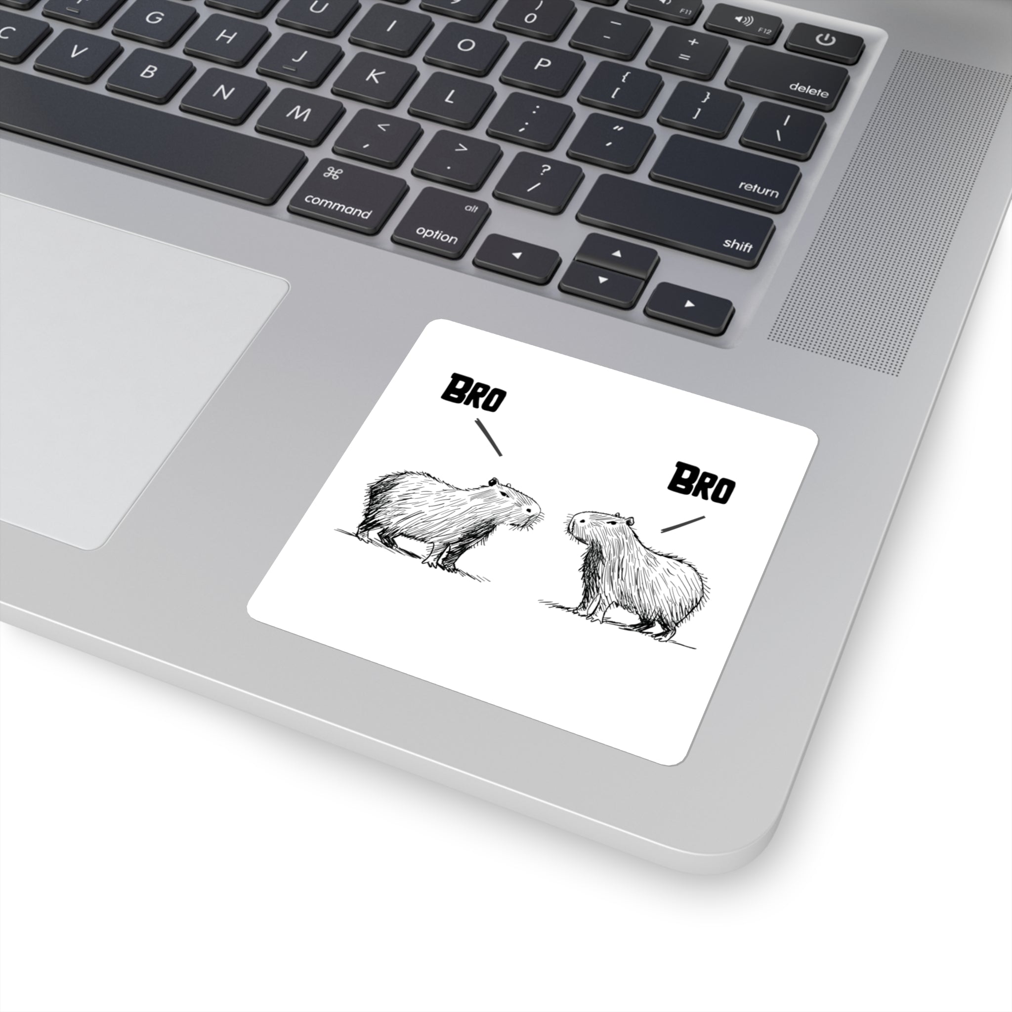 Bro Bro Sticker – Funny Capybara Meme Vinyl Sticker for Water Bottles & Laptops