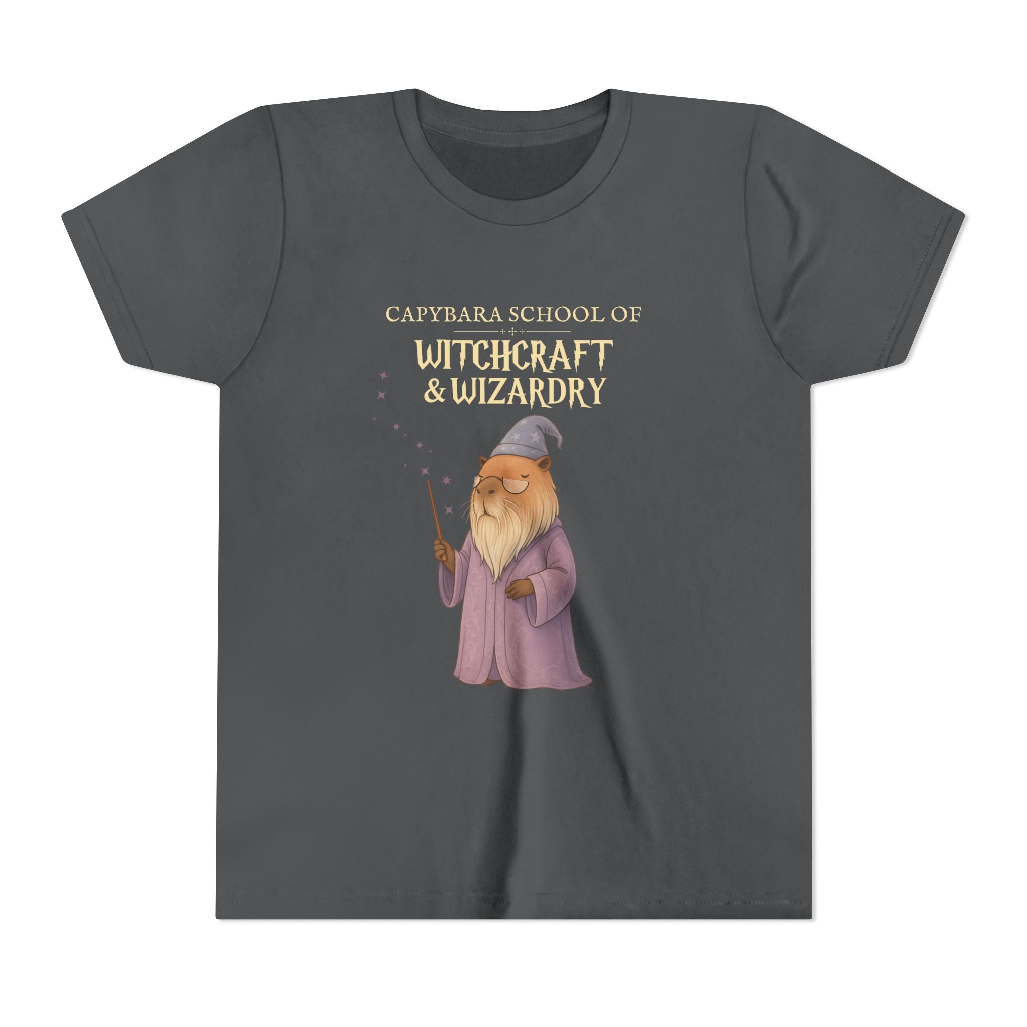 Whimsical Youth Tee - Capybara School of Witchcraft & Wizardry, Wizard School Gift |  Youth Professor Chillindore Unisex Tee