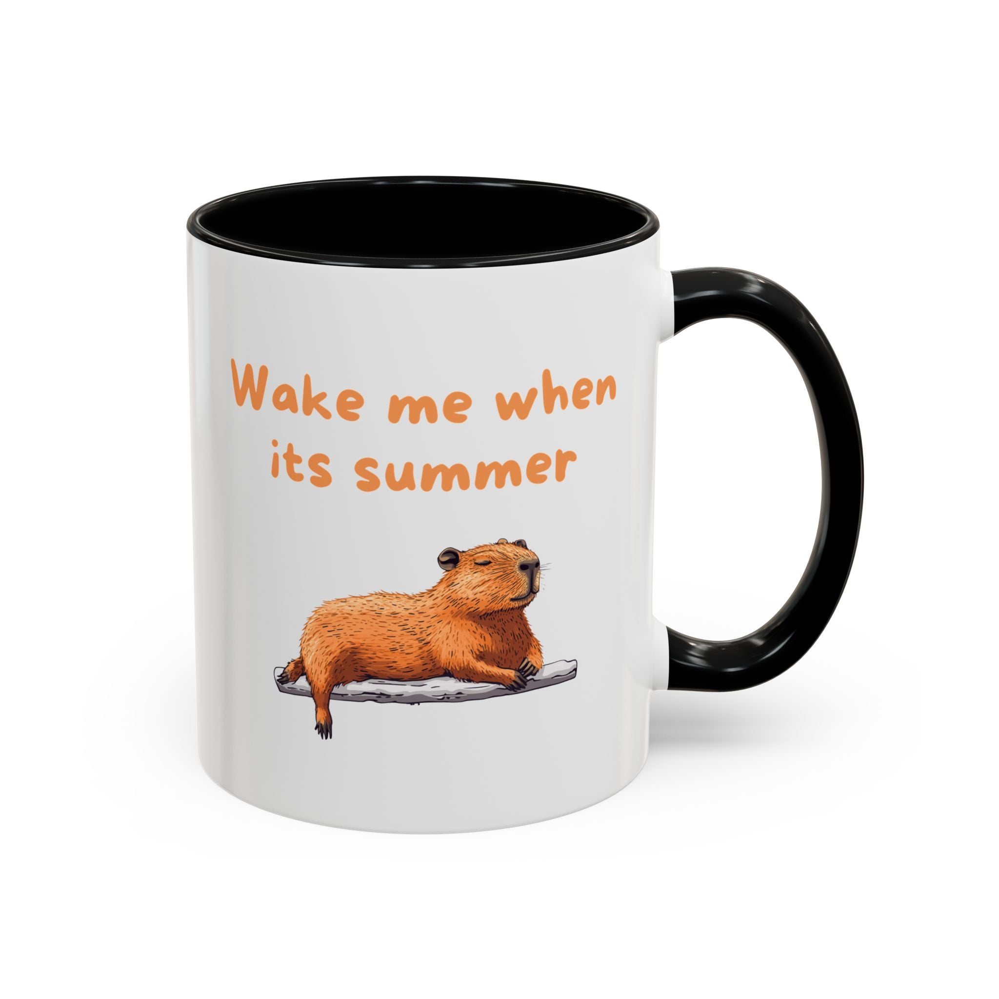 Wake Me When It's Summer - Fun Accent Coffee Mug