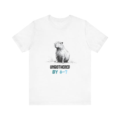 6 7 Meme Tshirt - Perfect Gift for Teachers and Moms