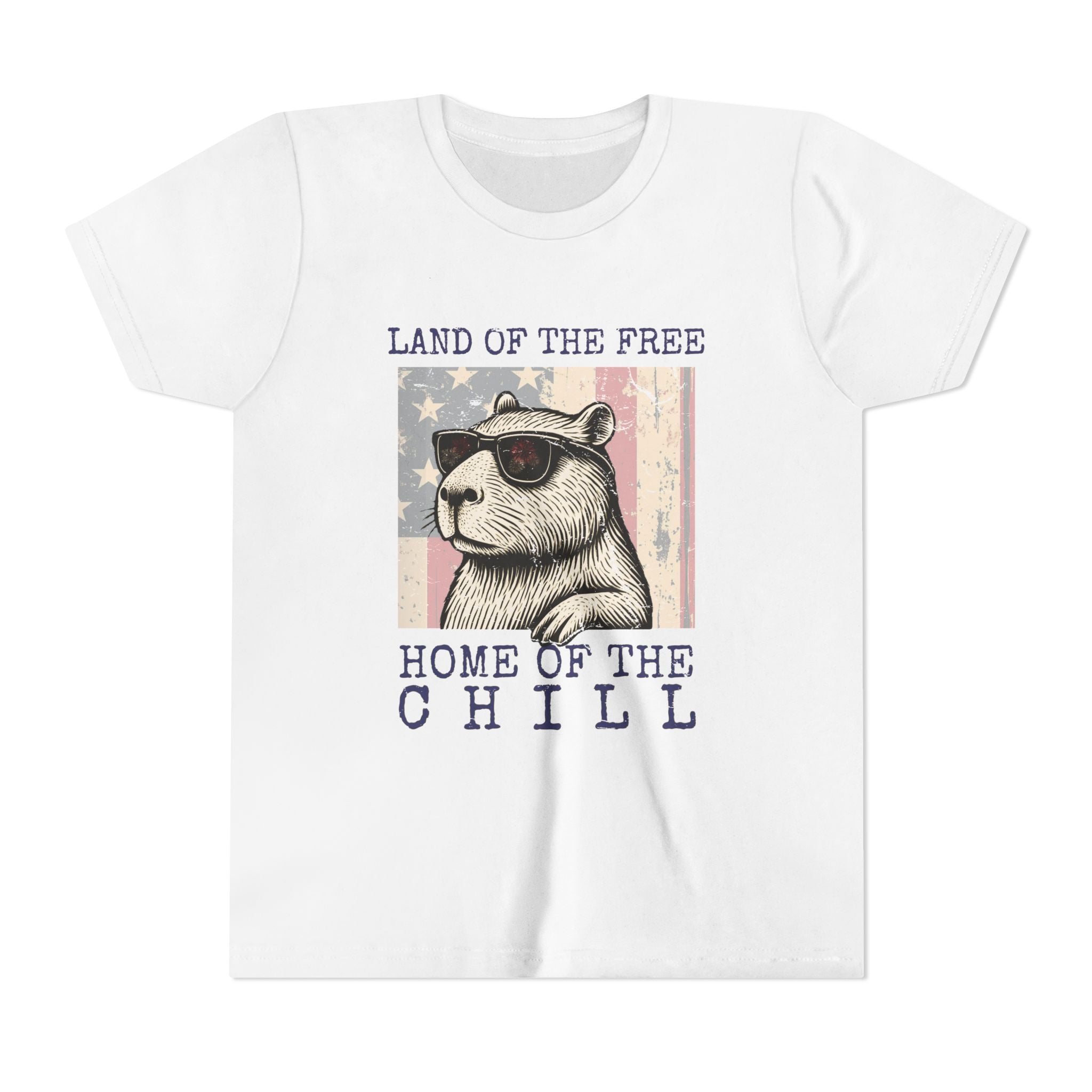 Capybara Land of the Free, Home of the Chill - Unisex Youth Tee