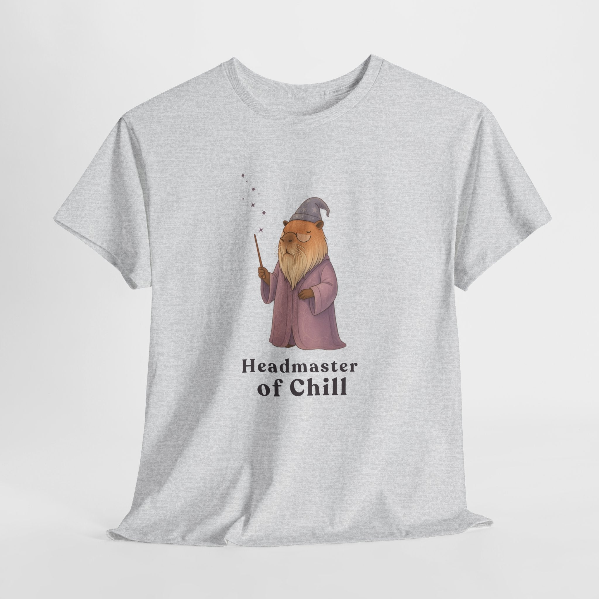 Headmaster of Chill T-Shirt | The Unbothered Wizard Collection Adult Tee