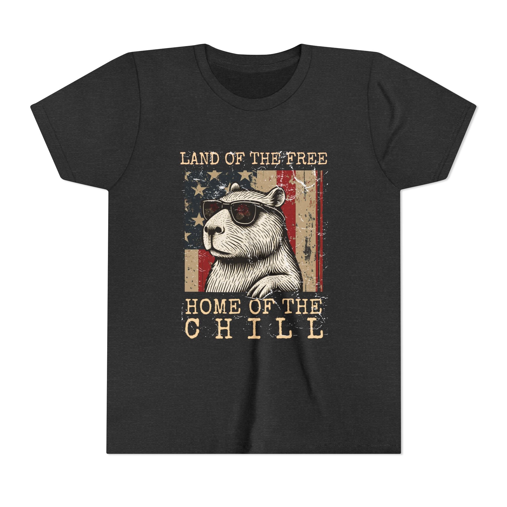Capybara Land of the Free, Home of the Chill - Unisex Youth Tee
