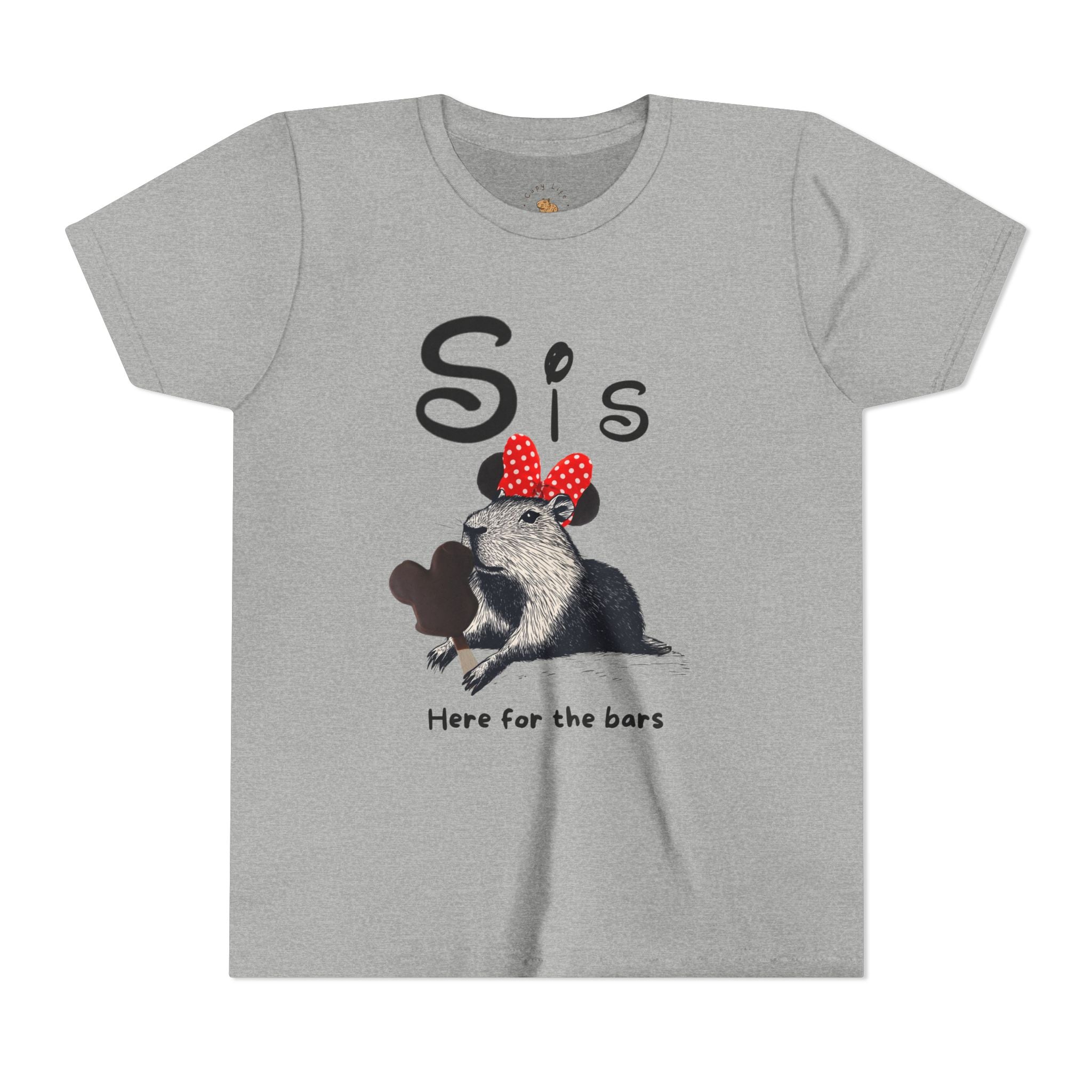 Sis Theme Park Here for the BarsTee -  Capybara Youth Unisex Jersey Short Sleeve Shirt