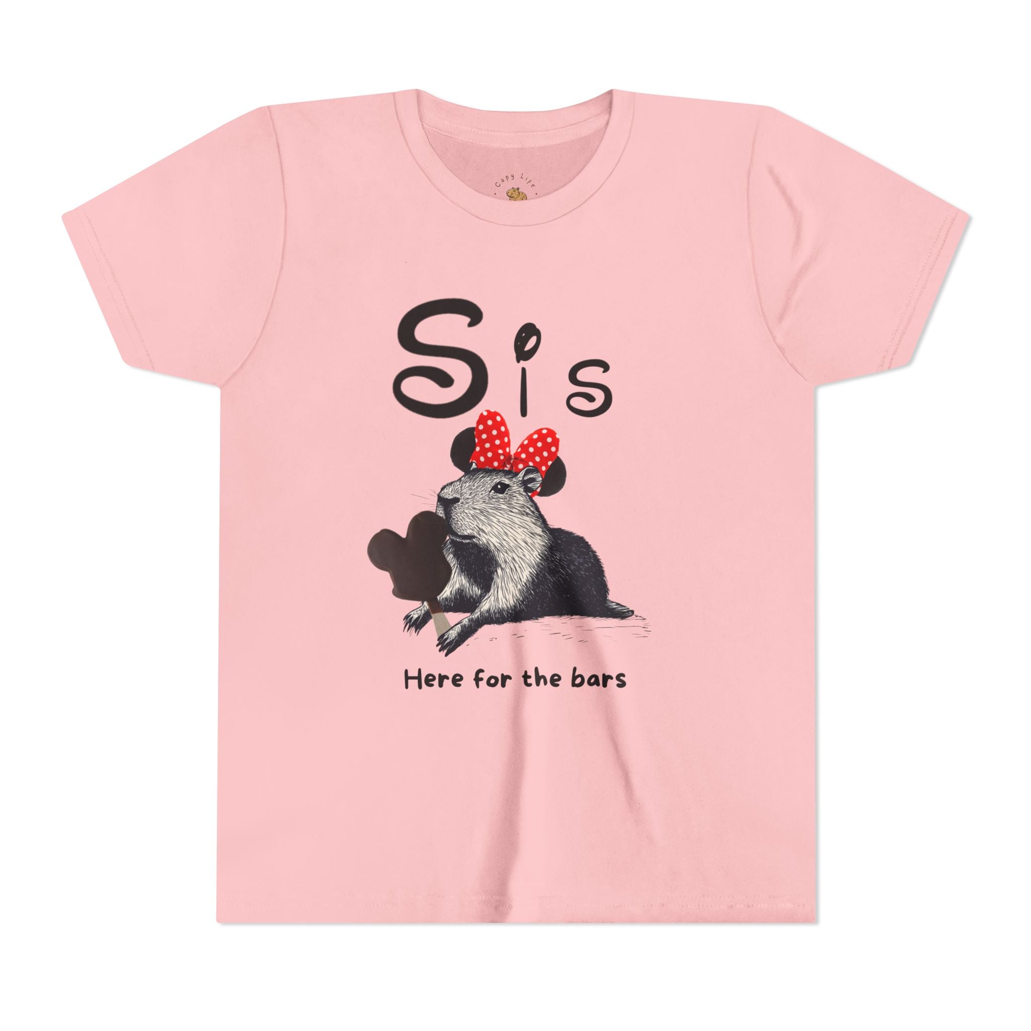 Sis Theme Park Here for the BarsTee -  Capybara Youth Unisex Jersey Short Sleeve Shirt