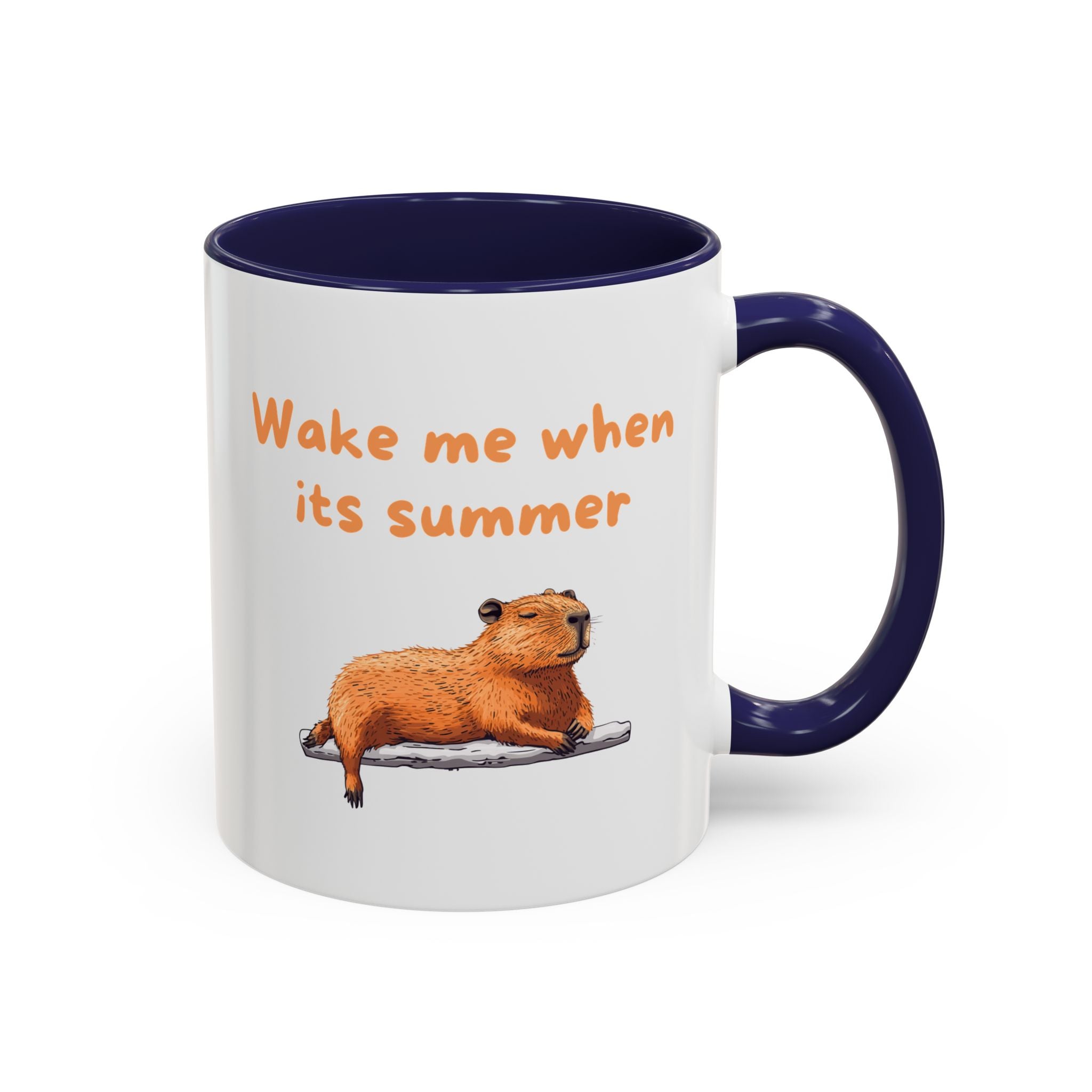 Wake Me When It's Summer - Fun Accent Coffee Mug