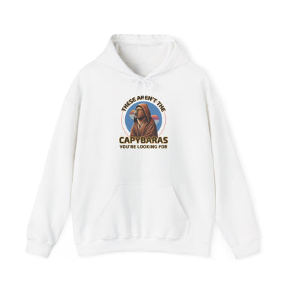 Star Wars Parody Hoodie – These Aren’t the Capybaras You’re Looking For – Obi-Wan Capybara – Funny Nerd Gift – Youth & Adult Sizes – Tatooine Suns Sci-Fi Sweatshirt